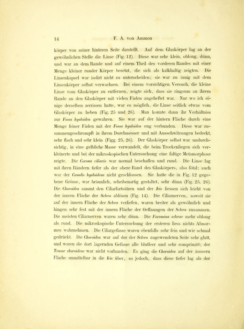 körper von seiner hinteren Seite darstellt. Auf dem Glaskörper lag an der gewöhnlichen Stelle die Linse (Fig. 12). Diese war sehr klein, oblong, dünn, und war an dem Rande und auf einem Theil des vorderen Randes mit einer Menge kleiner runder Körper besetzt, die sich als kalklialtig zeigten. Die Linsenkapsel war isolirt nicht zu unterscheiden; sie war zu innig mit dem Linsenkörper selbst verwachsen. Bei einem vorsichtigen Versuch, die kleine Linse vom Glaskörper zu entfernen, zeigte sich, dass sie ringsum an ihrem Rande an den Glaskörper mit vielen Fäden angeheftet war. Nur wo ich ei- nige derselben zerrissen hatte, war es möglich, die Linse seitMch etwas vom Glaskörper zu heben (Fig. 25 und 26). Man konnte dann ihr Verhältniss zur Fossa hjaloidea gewahren. Sie war auf der hintern Fläche durch eine Menge feiner Fäden mit der Fossa hyaloidea eng verbunden. Diese war zu- sammengeschrumpft in ihrem Durchmesser und mit Ausschwitzungen bedeckt, sehr flach und sehr klein (Figg. 25, 26). Der Glaskörper selbst war undurch- sichtig, in eine gelbliche Masse verwandelt, die beim Trockenliegen sich ver- kleinerte und bei der mikroskopischen Untersuchung eine faltige Metamorphose zeigte. Die Corona ciliaris war normal beschaffen und rund. Die Linse lag mit iliren Rändern tiefer als der obere Rand des Glaskörpers, also fötal; auch war der Canalis hyaloideus nicht geschlossen. Sie hatte die in Fig. 12 gege- bene Grösse, war bräunhch, scheibenartig gestaltet, sehr dünn (Fig. 25, 26). Die Choroidea sammt den Ciharfortsätzen und der Ins Hessen sich leicht von der innern Fläche der Sclera ablösen (Fig. 14). Die Ciharnerven, soweit sie auf der innern Fläche der Sclera verüefen, waren breiter als gewöhnhch und hingen sehr fest mit der innern Fläche der Oeffnungen der Sclera zusammen. Die meisten Ciharnerven waren sehr dünn. Die Foramina sclerae mehr oblong als rund. Die mikroskopische Untersuchung der ersteren Hess nichts Abnor- mes wahrnehmen. Die Cihargefässe waren ebenfalls sehr fein und wie schmal gedrückt. Die Choroidea war auf der der Sclera zugewendeten Seite sehr glatt, und waren die dort lagernden Gefässe ahe blutleer und sehr comprimirt; der Tensor choroideae war nicht vorhanden. Es ging die Choroidea auf der äussern Fläche unmittelbar in die Iris über, so jedoch, dass diese tiefer lag als der