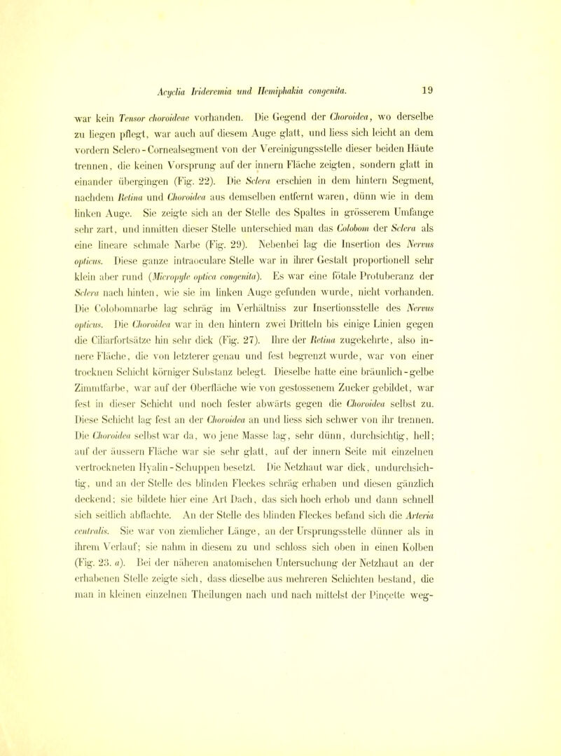 •war kein Tensor choroideae vorhanden. Die Gegend der Choroidca, wo derselbe zu liegen pflegt, war auch auf diesem Auge glatt, und Hess sich leicht an dem vordem Sclero - Cornealsegment von der Vereinigungsstelle dieser beiden Häute trennen, die keinen V^orsprung auf der innern Fläche zeigten, sondern glatt in einander übergingen (Fig. 22). Die Sclera erschien in dem liintern Segment, nachdem Retina und Choroidea aus demselben entfernt waren, dünn wie in dem hnken Auge. Sie zeigte sich an der Stelle des Spaltes in grösserem Umfange sehr zart, und inmitten cheser Stelle unterschied man das Colobom der Sclera als eine lineare schmale Narbe (Fig. 29). Nebenbei lag die Insertion des Nervus opticus. Diese ganze intraoculare Stelle war in ihrer Gestalt proportioneil sehr klein aber rund {Micropyle optica congenita). Es war eine fötale Protuberanz der Sclera nach hinten, wie sie im hnken Auge gefunden wurde, nicht vorhanden. Die Colobomnarbe lag schräg im Verhältniss zur Insertionsstelle des Nervus opticus. Die Choroidea war in den liintern zwei Dritteln bis einige Linien gegen die Ciliarfortsätze liin sehr dick (Fig. 27). Ihre der Retina zugekehrte, also in- nere Fläche, die von letzterer genau und fest begrenzt wurde, war von einer trocknen Schicht körniger Substanz belegt. Dieselbe hatte eine bräunlich - gelbe Zimmtfarbe, M^ar auf der Oberfläche wie von gestossenem Zucker gebildet, war fest in dieser Schicht und noch fester abwärts gegen die Choroidea selbst zu. Diese Scliicht lag fest an der Choroidea an und hess sich schwer von ihr trennen. Die Choroidea selbst war da, wo jene Masse lag, sehr dünn, durchsichtig, lieh; auf der äussern Fläche war sie sehr glatt, auf der innern Seite mit einzelnen vertrockneten Hyalin - Schuppen Ijesetzt. Die Netzhaut war dick, undurchsich- tig, und an der Stelle des blinden Fleckes schräg erhaben und diesen gänzhch deckend: sie bildete hier eine Art Dach, das sich hoch erhob und dann schnell sich seitlich abflachte. An der Stelle des bhnden Fleckes befand sich die Arteria centralis. Sie war von zicmhcher Länge, an der ürsprungsstelle dünner als in ihrem Verlauf; sie nahm in diesem zu und scliloss sich oben in einen Kolben (Fig. 23. ö). Bei der näheren anatomischen Untersuchung der Netzhaut an der erhabenen Stehe zeigte sich, dass dieselbe aus mehreren Scliichten bestand, die man in kleinen einzelnen Theilungen nach und nach mittelst der Pincette weg-