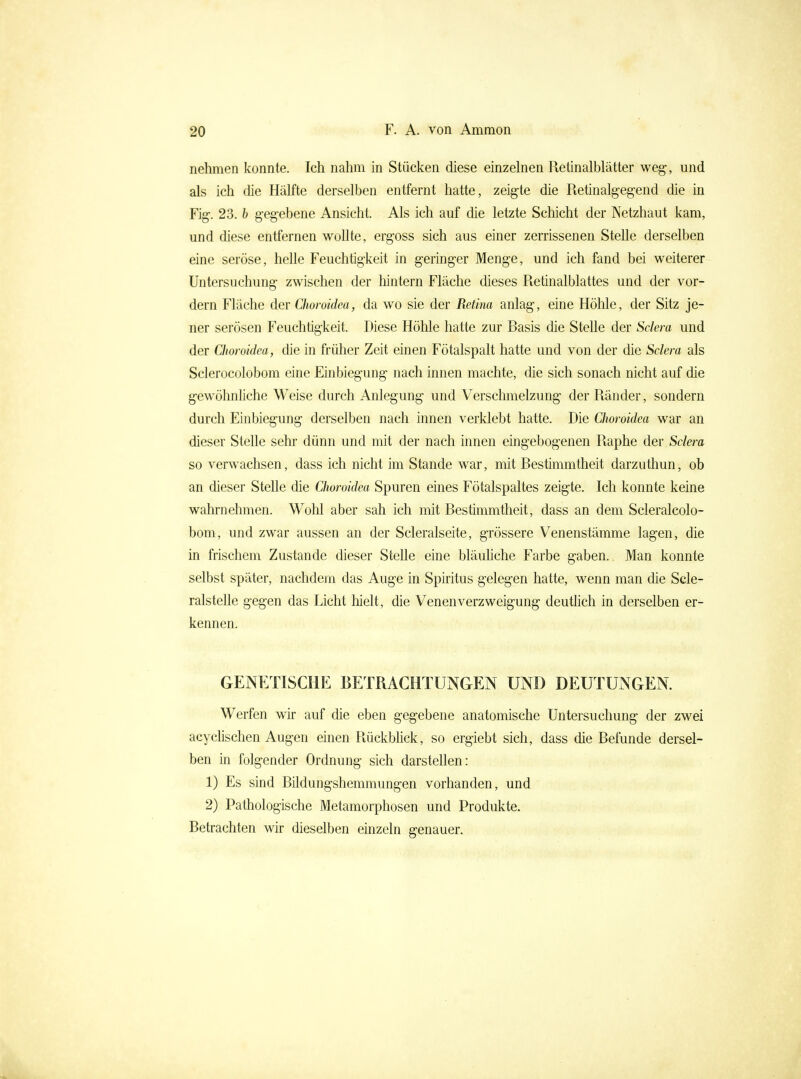 nehmen konnte. Ich nahm in Stücken diese einzelnen Retinalblätter weg, und als ich die Hälfte derselben entfernt hatte, zeigte die Retinalgegend die in Fig-. 23. b gegebene Ansicht. Als ich auf die letzte Schicht der Netzhaut kam, und diese entfernen woUte, ergoss sich aus einer zerrissenen Stelle derselben eine seröse, helle Feuchtigkeit in geringer Menge, und ich fand bei weiterer Untersuchung zwischen der liintern Fläche dieses Retinalblattes und der vor- dem Fläche der Choroidea, da wo sie der Retina anlag, eine Höhle, der Sitz je- ner serösen Feuchtigkeit. Diese Höhle hatte zur Basis die Stelle der Sclera und der Choroidea, die in früher Zeit einen Fötalspalt hatte und von der die Sclera als Sclerocolobom eine Einbiegung nach innen machte, die sich sonach nicht auf die gewöhnliche Weise durch Anlegung und Verschmelzung der Ränder, sondern durch Einbiegung derselben nach innen verklebt hatte. Die Choroidea war an dieser Stelle sehr dünn und mit der nach innen eingebogenen Raphe der Sclera so verwachsen, dass ich nicht im Stande war, mit Bestimmtheit darzuthun, ob an dieser Stelle die Choroidea Spuren eines Fötalspaltes zeigte. Ich konnte keine wahrnehmen. Wohl aber sah ich mit Bestimmtheit, dass an dem Scleralcolo- bom, und zwar aussen an der Scleralseite, grössere Venenstämme lagen, die in frischem Zustande dieser Stelle eine bläuUche Farbe gaben. Man konnte selbst später, nachdem das Auge in Spiritus gelegen hatte, wenn man die Scle- ralsteUe gegen das Licht hielt, die Venenverzweigung deutlich in derselben er- kennen. GENETISCHE BETRACHTUNGEN UND DEUTUNGEN. Werfen wir auf die eben gegebene anatomische Untersuchung der zwei acyclischen Augen einen Rückblick, so ergiebt sich, dass die Befunde dersel- ben in folgender Ordnung sich darstellen: 1) Es sind Bildungshemmungen vorhanden, und 2) Pathologische Metamorphosen und Produkte. Betrachten wir dieselben einzeln genauer.