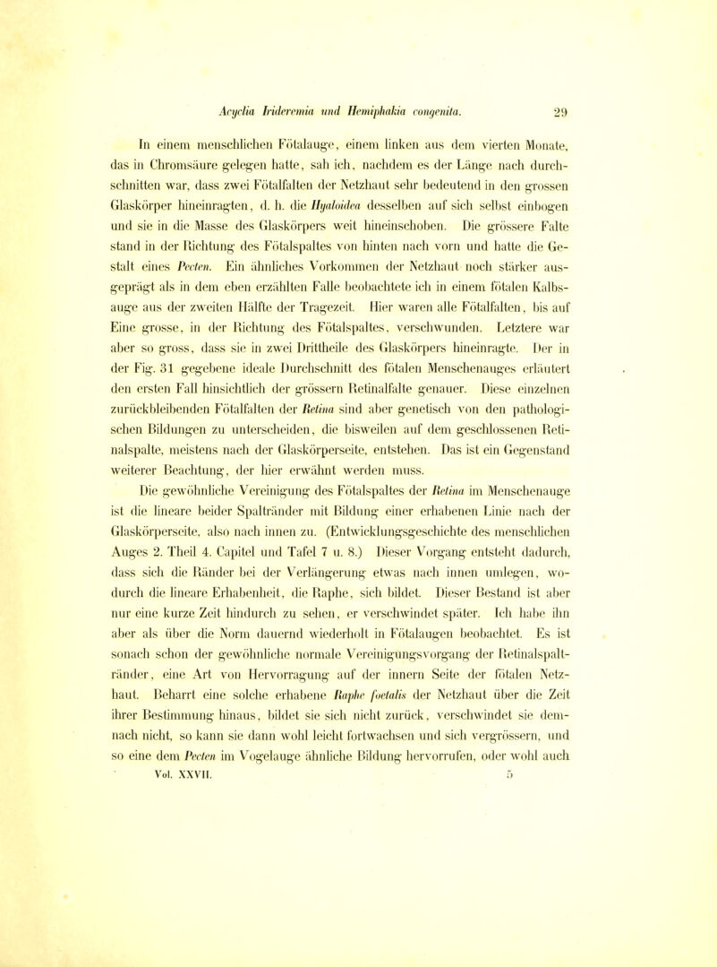 In einem menschlichen Fötalaug-e, einem hnken aus dem vierten Monate, das in Chromsäure gelegen hatte, sah ich, nachdem es der Länge nach durch- schnitten war, dass zwei Fötalfalten der Netzhaut sehr bedeutend in den grossen Glaskörper hineinragten, d. h. die Hyaloidea desselben auf sich selbst einbogen und sie in die Masse des Glaskörpers weit hineinschoben. Die grössere Falte stand in der Richtung des Fötalspaltes von hinten nach vorn und hatte die Ge- stalt eines Pccfen. Ein ähnliches Vorkommen der Netzhaut noch stärker aus- geprägt als in dem eben erzählten Falle beobachtete ich in einem fötalen Kalbs- auge aus der zweiten Hälfte der Tragezeit. Hier waren alle Fötalfalten, bis auf Eine grosse, in der Richtung des Fötalspaltes, verschwunden. Letztere war aber so gross, dass sie in zwei Drittheile des Glaskörpers hineinragte. Der in der Fig. 31 gegebene ideale Durchschnitt des fötalen Menschenauges erläutert den ersten Fall hinsichtüch der grössern Retinalfalte genauer. Diese einzelnen zurückbleibenden Fötalfalten der Retina sind aber genetisch von den pathologi- schen Bildungen zu unterscheiden, die bisweilen auf dem geschlossenen Reti- nalspalte, meistens nach der Glaskörperseite, entstehen. Das ist ein Gegenstand weiterer Beachtung, der liier erwähnt werden muss. Die gewöhnliche Vereinigung des Fötalspaltes der Retina im Menschenauge ist die lineare beider Spaltränder mit Bildung einer erhabenen Linie nach der Glaskörperscite, also nach innen zu. (Entwicklungsgeschichte des menschlichen Auges 2. Theil 4. Capitel und Tafel 7 u. 8.) Dieser Vorgang entsteht dadurch, dass sich die Ränder bei der Verlängerung etwas nach innen umlegen, wo- durch die lineare Erhabenheit, die Raphe, sich bildet. Dieser Bestand ist aber nur eine kurze Zeit hindurch zu sehen, er verschwindet später. Ich habe ihn aber als über die Norm dauernd wiederholt in Fötalaugen beobachtet. Es ist sonach schon der gewöhnliche normale Vereinigungsvorgang der Retinalspalt- ränder, eine Art von Hervorragung auf der Innern Seite der fötalen Netz- haut. Beharrt eine solche erhabene Raphc foetalis der Netzhaut über die Zeit ihrer Bestimmung hinaus, bildet sie sich nicht zurück, verschwindet sie dem- nach nicht, so kann sie dann wohl leicht fortwachsen und sich vergrössern, und so eine dem Peden im Vogelauge ähnhche Bildung hervorrufen, oder wohl auch Vol. XXVII. 5