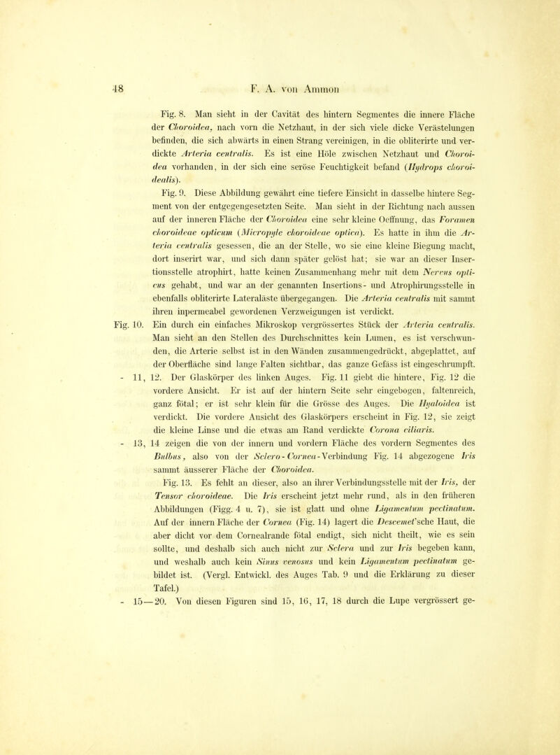 Fig. 8. Man sieht in der Cavität des hintern Segmentes die innere Fläche der Choroidea, nach vorn die Netzhaut, in der sich viele dicke Verästelungen befinden, die sich abwärts in einen Strang vereinigen, in die obliterirte und ver- dickte Arteria centralis. Es ist eine Hole zwischen Netzhaut und Choroi- dea vorhanden, in der sich eine seröse Feuchtigkeit befand {Hydrops choroi- dealis). Fig. 9. Diese Abbildung gewährt eine tiefere Einsicht in dasselbe hintere Seg- ment von der entgegengesetzten Seite. Man sieht in der Richtung nach aussen auf der inneren Fläche der Choroidea eine sehr kleine Oeffnuug, das Foramen choroideae opticum {Micropyle choroideae optica). Es hatte in ihm die Ar- teria centralis gesessen, die an der Stelle, wo sie eine kleine Biegung macht, dort inserirt war, und sich dann später gelöst hat; sie war an dieser Inser- tionsstelle atrophirt, hatte keinen Zusammenhang mehr mit dem Nervus opti- cus gehabt, und war an der genannten Insertions- und Atrophirungsstelle in ebenfalls obliterirte Lateraläste übergegangen. Die Arteria centralis mit sammt ihren iupermeabel gewordenen Verzweigungen ist verdickt. Fig. 10. Ein durch ein einfaches Mikroskop vergrössertes Stück der Arteria centralis. Man sieht an den Stellen des Durchschnittes kein Lumen, es ist verschwun- den, die Arteiie selbst ist in den Wänden zusammengedrückt, abgeplattet, auf der Oberfläche sind lange Falten sichtbar, das ganze Gefäss ist eingeschrumpft. - 11, 12. Der Glaskörper des linken Auges. Fig. 11 giebt die hintere, Fig. 12 die vordere Ansicht. Er ist auf der hintern Seite sehr eingebogen, faltenreich, ganz fötal; er ist sehr klein für die Grösse des Auges. Die Ilyaloidea ist verdickt. Die vordere Ansicht des Glasköi-pers erscheint in Fig. 12, sie zeigt die kleine Linse und die etwas am Rand verdickte Corona ciliaris. - 13, 14 zeigen die von der innern und vordem Fläche des vordem Segmentes des Bulbus, also von der »S'c/ero - C'oy-?<ea-Verbindung Fig. 14 abgezogene Iris sammt äusserer Fläche der Choroidea. Fig. 13. Es fehlt an dieser, also an ihrer Verbindungsstelle mit der Iris, der Tensor choroideae. Die Iris erscheint jetzt mehr rund, als in den früheren Abbildungen (Figg. 4 u. 7), sie ist glatt und ohne Ligamentum pectinatum. Auf der innern Fläche der Cornea (Fig. 14) lagert die Descemef sehe Haut, die aber dicht vor dem Cornealrande fötal endigt, sich nicht theilt, wie es sein sollte, und deshalb sich auch nicht zur Sclera und zur Iris begeben kann, und weshalb auch kein Sinus vcnosus und kein Ligamentum pectinatum ge- bildet ist. (Vergl. Entwickl. des Auges Tab. 9 und die Erklärung zu dieser Tafel.) - 15—20. Von diesen Figui'en sind 15, 16, 17, 18 durch die Lupe vergrössert ge-