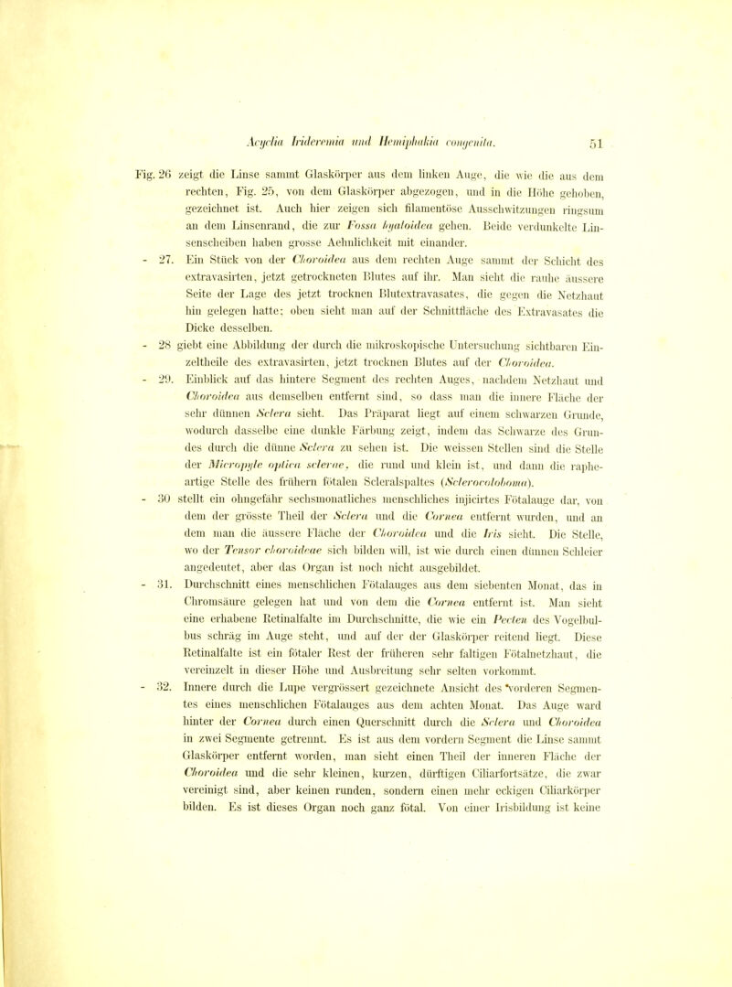 .26 zeigt die Linse sammt Glaskörper aus dem linken Auge, die wie die aus dem rechten, Fig. 2.5, von dem Glaskörper abgezogen, und in die Höhe gehoben, gezeichnet ist. Auch hier zeigen sich filamentöse Ausschwitzungen ringsum an dem Linsenrand, die zur Fossa Injaloldea gehen. Beide verdunkelte Lin- senscheiben haben grosse Aelmlichkeit mit einander. 27. Ein Stück von der Choroidea aus dem rechten Auge sammt der Schicht des extravasirten, jetzt getrockneten Blutes auf ihr. Man sieht die rauhe äussere Seite der Lage des jetzt trocknen Blutextravasates, die gegen die Netzhaut hin gelegen hatte; oben sieht man auf der Schnittfläche des Extravasates die Dicke desselben. 28 giebt eine Abbildung der durch die mikroskopische Untersuchung sichtbaren Ein- zeltheile des extravasirten, jetzt trocknen Blutes auf der C/ioro/de<i. 29. Einblick auf das hintere Segment des rechten Auges, nachdem Netzhaut und Clioroidca aus demselben entfernt sind, so dass man die innere Fläche der sehr dünnen Sclera sieht. Das Präparat liegt auf einem schwarzen Grunde, wodurch dasselbe eine dunkle Färbung zeigt, indem das Schwarze des Grun- des durch die dünne Sclera zu sehen ist. Die weissen Stellen sind die Stelle der Mirrojujlfi oplirit .sclerae. die rund und klein ist, und dann die raplie- artige Stelle des frühern fötalen Scleralspaltes {iSclerorolohomtt). 30 stellt ein ohngefähr sechsmonatliches menschliches injicirtes Fötalauge dar, von dem der gi-össte Theil der Sclera und die Cornea entfernt wurden, und an dem man die äussere Fläche der Choroklcu und die Iris sieht. Die Stelle, wo der Tensor clioroideae sich bilden will, ist wie durch einen dünnen Schleier angedeutet, aber das Organ ist noch nicht ausgebildet. 3L Durchschnitt eines menschhchen Fötalauges aus dem siebenten Monat, das in Chromsäure gelegen hat und von dem die Cornea entfernt ist. Man sieht eine erhabene Retinalfalte im Durchschnitte, die wie ein Pecten des Vogelbul- bus schräg im Auge steht, und auf der der Glaskörper reitend hegt. Diese Retiualfalte ist ein fötaler Rest der früheren sehr faltigen Fötalnetzhaut, die vereinzelt in dieser Höhe und Ausbreitung sehr selten vorkommt. 32. Innere durch die Lupe vergrössert gezeichnete Ansicht des vorderen Segmen- tes eines menschhchen Fötalauges aus dem achten Monat. Das Auge ward hinter der Cornea diu'ch einen Querschnitt durch die Sclera und Choroidea in zwei Segmente getrennt. Es ist aus dem vordem Segment die Linse sammt Glaskörper entfernt worden, man sieht einen Theil der inneren Fläche der Choroidea und die sehr kleinen, kiu-zen, dürftigen Ciliarfortsätze, die zwar vereinigt sind, aber keinen runden, sondern einen mehr eckigen Ciharkörper bilden. Es ist dieses Organ noch ganz fötal. Von einer Irisbildung ist keine