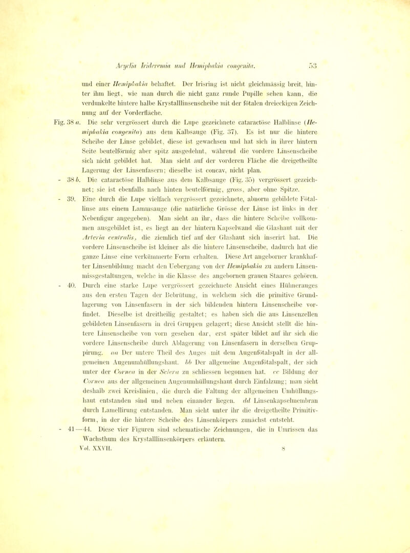 und einer llemiplidLid behaftet. Der Irisring ist niclit gleiclunilssig breit, hin- ter ihm liegt, wie man durch die nicht ganz runde Pupille sehen kann, die verdunkelte hintere halbe Krystalllinsenscheilie mit der fötalen dreieckigen Zeich- nung auf der Vorderfläche. Fig. 38 (t. Die sehr vergrössert durch die Lupe gezeichnete cataractösc Halblinse ( lle- niipl/aliia coiigcnila) aus dem Kalbsauge (Fig. ;)7). Es ist nur die hintere Scheibe der Linse gebildet, diese ist gewachsen und hat sicli in ihrer hintern Seite beuteiförmig aber spitz ausgedehnt, während die vordere Linsenscheibe sich nicht gebildet hat. Man sieht auf der vorderen Fläche die dreigetheilte Lagerung der Linsenfaserii; dieselbe ist concav, nicht plan. - 38 b. Die cataractöse Halblinse aus dem Kalbsauge (Fig. 35) vergrössert gezeich- net; sie ist ebenfalls nach hinten beuteiförmig, gross, aber ohne Spitze. - 39. Eine durch die Lupe vielfach vergrössert gezeichnete, abnorm gebildete Fötal- linse aus einem Lammsauge (die natürliche Grösse der Linse ist links in der Nebenfigur angegeben). Man sieht an ihr, dass die hintere Scheilje vollkom- men ausgebildet ist, es liegt an der hintern Kapselwand die Glasliaut mit der Arieria ccuiralis. die ziemlich tief auf der Glashaut sich inscrirt hat. Die vordere Linsenscheibe ist kleiner als die hintere Linsenscheibe, dadurch hat die ganze Iänse eine verkümmerte Form erhalten. Diese Art angeborner krankhaf- ter Linsenljildung macht tleu Uebergang von der llemiphakiu zu andern Linsen- missgestaltungen, welche in die Klasse des angebornen grauen Staares gehören. - 40. Durch eine starke Lupe vergrössert gezeichnete Ansicht eines Hülmerauges aus den ersten Tagen der Debrütung, in welchem sich die primitive Grund- lagcrung von Linsenfasern in der sich bildenden hintern Linsenscheibe vor- findet. Dieselbe ist drcithcilig gestaltet; es lial)en sich die aus Linsenzellen gebildeten Linsenfasern in drei Gruppen gelagert; diese Ansicht stellt die hin- tere Linsenscheibe von vorn gesehen dar, erst später bildet auf ihr sich die vordere Linsenscheilie durcli Ablagerung von Linsenfasern in derselben Grup- pirung. aa Der untere Thcil des Auges mit dem Augenfötalspalt in der all- gemeinen Augenumhüllungshaut, hb Der allgemeine Augenfötalspalt, der sich unter der Corneii in der Sciera zu schliessen begonnen hat. cc Bildung der Cornea aus der allgemeinen Augenumhüllungshaut durch Einfalzung; man sieht deshalb zwei Kreislinien, die durch die Faltung der allgemeinen Umhüllungs- haut entstanden sind und neben einander liegen, dd Linsenkapselmembran durch Lamellirung entstanden. Man sieht unter ihr die dreigetheilte Primitiv- form, in der die hintere Scheibe des Linsenkörpers zunächst entsteht. - 41—44. Diese vier Figuren sind schematische Zeichnungen, die in Umrissen das Wachsthum des Krystalllinsenkörpers erläutern. Vol. XXVIl. 8