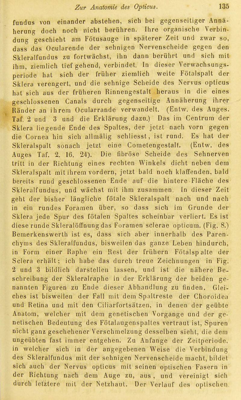 fundus von einander abstehen, sich bei gegenseitiger Annä- herung doch noch nicht berühren. Ihre organische Verbin- dung geschieht am Fötusauge in späterer Zeit und zwar so, dass das Ocularende der sehnigen Nervenscheide gegen den Skleralfundus zu fortwächst, ihn dann berührt und sich mit ihm, ziemlich tiefgehend, verbindet. In dieser Verwachsungs- periode hat sich der früher ziemlich weite Fötalspalt der Sklera verengert, und die sehnige Scheide des Nervus opticus hat sich aus der früheren Rinnengestalt heraus in die eines geschlossenen Canals durch gegenseitige Annäherung ihrer Ränder an ihrem Ocularrande verwandelt. (Entw. des Auges. Taf. 2 und 3 und die Erklärung dazu.) Das im Centrum der Sklera liegende Ende des Spaltes, der jetzt nach vorn gegen die Cornea hin sich allmälig schliesst, ist rund. Es hat der Skleralspalt sonach jetzt eine Cometengestalt. (Entw. des Auges Taf. 2. 16. 24). Die fibröse Scheide des Sehnerven tritt in der Richtung eines rechten Winkels dicht neben dem Skleralspalt mit ihrem vordem, jetzt bald noch klaffenden, bald bereits rund geschlossenen Ende auf die hintere Fläche des Skleralfundus, und wächst mit ihm zusammen. In dieser Zeit geht der bisher längliche fötale Skleralspalt nach und nach in ein rundes Foramen über, so dass sich im Grunde der Sklera jede Spur des fötalen Spaltes scheinbar verliert. Es ist diese runde Skleralöffnung das Foramen sclerae opticum. (Fig. 8.) Bemerkenswerth ist es, dass sich aber innerhalb des Paren- chyms des Skleralfundus, bisweilen das ganze Leben hindurch, in Form einer Raphe ein Rest der frühern Fötalspalte der Sclera erhält; ich habe das durch treue Zeichnungen in Fig. 2 und 3 bildlich darstellen lassen, und ist die nähere Be- schreibung der Skleralraphe in der Erklärung der beiden ge- nannten Figuren zu Ende dieser Abhandlung zu finden. Glei- ches ist bisweilen der Fall mit dem Spaltreste der Choroidea und Retina und mit den Ciliarfortsätzen, in denen der geübte Anatom, welcher mit dem genetischen Vorgange und der ge- netischen Bedeutung des FÖtalaugenspaltes vertraut ist, Spuren nicht ganz geschehener Verschmelzung desselben sieht, die dem ungeübten fast immer entgehen. Zu Anfange der Zeitperiode, in welcher sich in der angegebenen Weise die Verbindung des Skleralfundus mit der sehnigen Nervenscheidc macht, bildet sich auch der Nervus opticus mit seinen optischen Fasern in der Richtung nach dem Auge zu, aus , und vereinigt sich durch letztere mit der Netzhaut. Der Verlauf des optischen