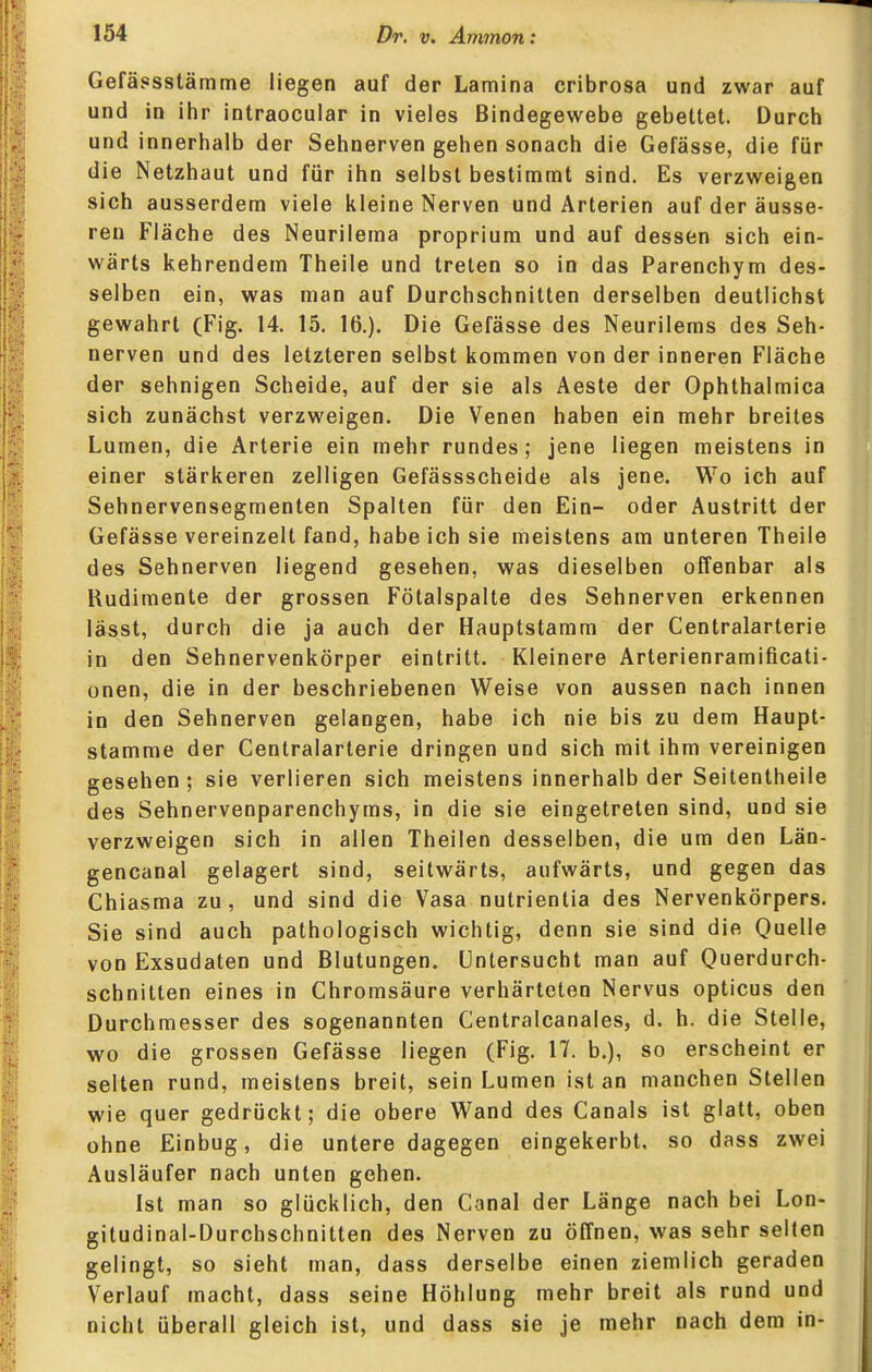 Gefässstämme liegen auf der Lamina cribrosa und zwar auf und in ihr intraocular in vieles Bindegewebe gebettet. Durch und innerhalb der Sehnerven gehen sonach die Gefässe, die für die Netzhaut und für ihn selbst bestimmt sind. Es verzweigen sich ausserdem viele kleine Nerven und Arterien auf der äusse- ren Fläche des Neurilema proprium und auf dessen sich ein- wärts kehrendem Theile und treten so in das Parenchym des- selben ein, was man auf Durchschnitten derselben deutlichst gewahrt (Fig. 14. 15. 16.). Die Gefässe des Neurilems des Seh- nerven und des letzteren selbst kommen von der inneren Fläche der sehnigen Scheide, auf der sie als Aeste der Ophthalmica sich zunächst verzweigen. Die Venen haben ein mehr breites Lumen, die Arterie ein mehr rundes; jene liegen meistens in einer stärkeren zelligen Gefässscheide als jene. Wo ich auf Sehnervensegmenten Spalten für den Ein- oder Austritt der Gefässe vereinzelt fand, habeich sie meistens am unteren Theile des Sehnerven liegend gesehen, was dieselben offenbar als Rudimente der grossen Fötalspalte des Sehnerven erkennen lässt, durch die ja auch der Hauptstamm der Centraiarterie in den Sehnervenkörper eintritt. Kleinere Arterienramificati- onen, die in der beschriebenen Weise von aussen nach innen in den Sehnerven gelangen, habe ich nie bis zu dem Haupt- stamme der Centraiarterie dringen und sich mit ihm vereinigen gesehen; sie verlieren sich meistens innerhalb der Seitentheile des Sehnervenparenchyms, in die sie eingetreten sind, und sie verzweigen sich in allen Theilen desselben, die um den Län- gencanal gelagert sind, seitwärts, aufwärts, und gegen das Chiasma zu, und sind die Vasa nutrientia des Nervenkörpers. Sie sind auch pathologisch wichtig, denn sie sind die Quelle von Exsudaten und Blutungen. Untersucht man auf Querdurch- schnitten eines in Chromsäure verhärteten Nervus opticus den Durchmesser des sogenannten Centralcanales, d. h. die Stelle, wo die grossen Gefässe liegen (Fig. 17. b.), so erscheint er selten rund, meistens breit, sein Lumen ist an manchen Stellen wie quer gedrückt; die obere Wand des Canals ist glatt, oben ohne Einbug, die untere dagegen eingekerbt, so dass zwei Ausläufer nach unten gehen. Ist man so glücklich, den Canal der Länge nach bei Lon- gitudinal-Durchschnitten des Nerven zu öffnen, was sehr selten gelingt, so sieht man, dass derselbe einen ziemlich geraden Verlauf macht, dass seine Höhlung mehr breit als rund und nicht überall gleich ist, und dass sie je mehr nach dem in-