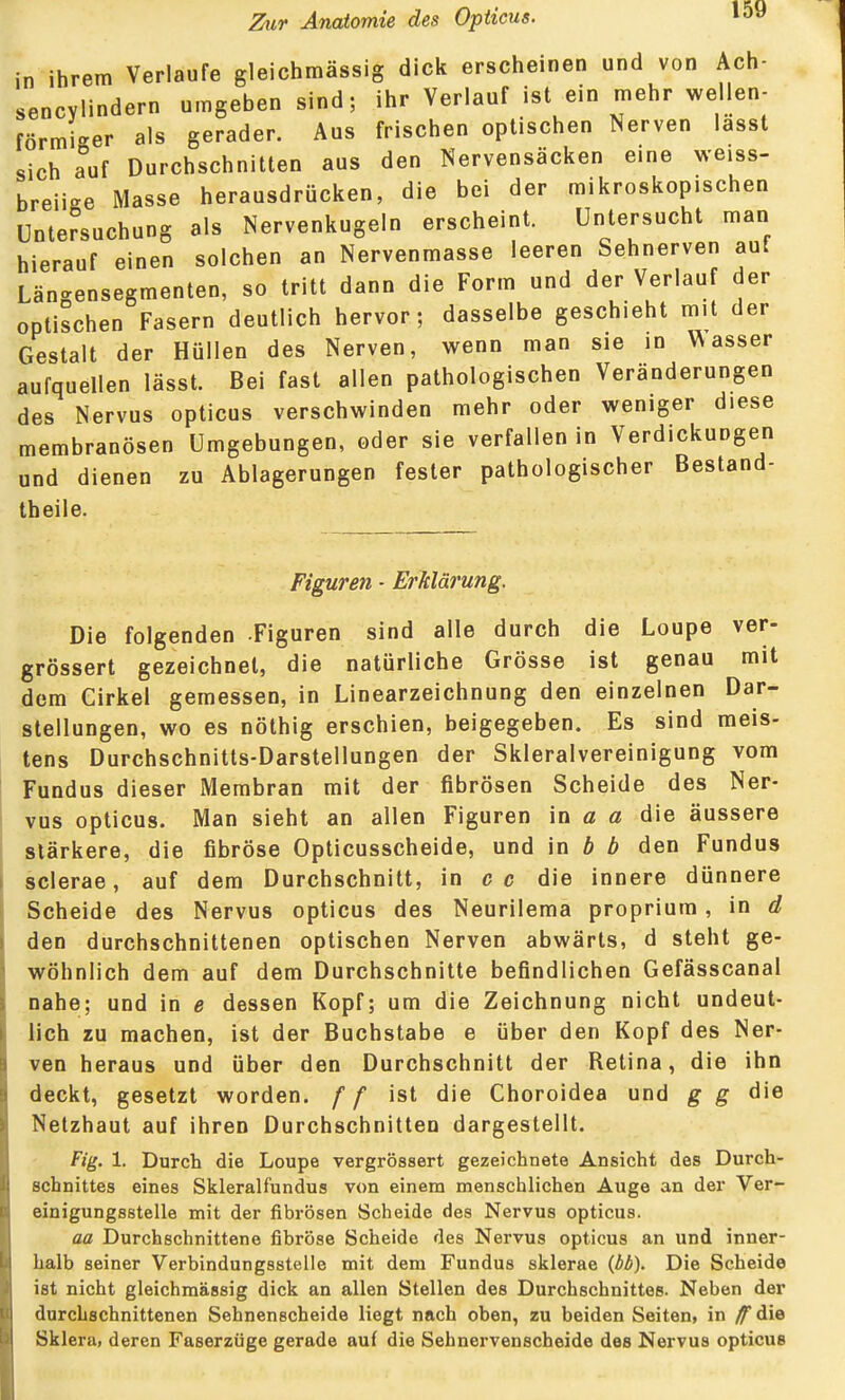 in ihrem Verlaufe gleichmässig dick erscheinen und von Ach- sencylindern umgeben sind; ihr Verlauf ist ein mehr wellen- förmUr als gerader. Aus frischen optischen Nerven lasst sich a°uf Durchschnitten aus den Nervensäcken eine weiss- breiige Masse herausdrücken, die bei der mikroskopischen Untersuchung als Nervenkugeln erscheint. Untersucht man hierauf einen solchen an Nervenmasse leeren Sehnerven auf Längensegmenten, so tritt dann die Form und der Verlauf der optischen Fasern deutlich hervor; dasselbe geschieht mit der Gestalt der Hüllen des Nerven, wenn man sie in Wasser aufquellen lässt. Bei fast allen pathologischen Veränderungen des Nervus opticus verschwinden mehr oder weniger diese membranösen Umgebungen, oder sie verfallen in Verdickungen und dienen zu Ablagerungen fester pathologischer Bestand- theile. Figuren ■ Erklärung. Die folgenden -Figuren sind alle durch die Loupe ver- grössert gezeichnet, die natürliche Grösse ist genau mit dem eirkel gemessen, in Linearzeichnung den einzelnen Dar- stellungen, wo es nöthig erschien, beigegeben. Es sind meis- tens Durchschnitts-Darstellungen der Skleralvereinigung vom Fundus dieser Membran mit der fibrösen Scheide des Ner- vus opticus. Man sieht an allen Figuren \n a a die äussere stärkere, die fibröse Opticusscheide, und in b b den Fundus sclerae, auf dem Durchschnitt, in c c die innere dünnere Scheide des Nervus opticus des Neurilema proprium , in d den durchschnittenen optischen Nerven abwärts, d steht ge- wöhnlich dem auf dem Durchschnitte befindlichen Gefässcanal nahe; und in e dessen Kopf; um die Zeichnung nicht undeut- lich zu machen, ist der Buchstabe e über den Kopf des Ner- ven heraus und über den Durchschnitt der Retina, die ihn deckt, gesetzt worden, ff ist die Choroidea und g g die Netzhaut auf ihren Durchschnitten dargestellt. Fig. 1. Durch die Loupe vergrössert gezeichnete Ansicht des Durch- schnittes eines Skleralfundus von einem menschlichen Auge an der Ver- einigungsstelle mit der fibrösen Scheide des Nervus opticus. aa Durchschnittene fibröse Scheide des Nervus opticus an und inner- halb seiner Verbindungsstelle mit dem Fundus sklerae (bb). Die Scheide ist nicht gleichmässig dick an allen Stellen des Durchschnittes. Neben der durchschnittenen Sehnenscheide liegt nach oben, zu beiden Seiten, in ^die Sklera, deren Faserzüge gerade auf die Sehnervenscheide des Nervus opticus