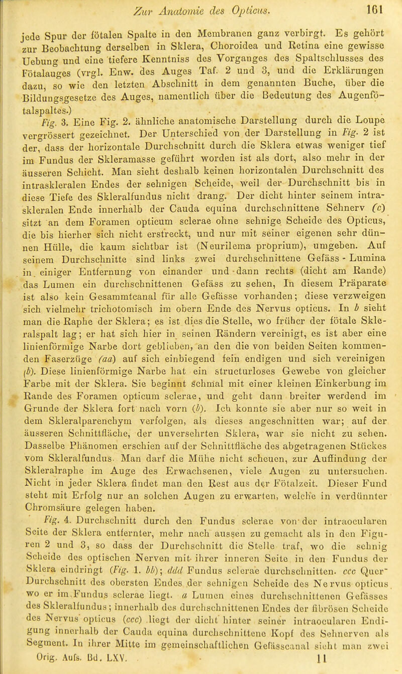 jede Spur der fötalen Spalte in den Membranen ganz verbirgt. Es gehört zur Beobachtung derselben in Sklera, Choroidea und Retina eine gewisse Uebun'^ und eine tiefere Kenntniss des Vorganges des Spaltschlusses des Fötalauges (vrgl. Enw. des Auges Taf. 2 und 3, und die Erklärungen dazu, so wie den letzten Abschnitt in dem genannten Buche, über die Bilduugsgesetze des Auges, namentlich über die Bedeutung des Augenfö- talspaltes.) Fig. 3. Eine Fig. 2. ähnliche anatomische Darstellung durch die Loupe vcrgrössert gezeichnet. Der Unterschied von der Darstellung in Fig. 2 ist der, dass der horizontale Durchschnitt durch die Sklera etwas weniger tief im Fundus der Skleramasse geführt worden ist als dort, also mehr in der äusseren Schicht. Man sieht deshalb keinen horizontalen Durchschnitt des intraskleralen Endes der sehnigen Scheide, weil der Durchschnitt bis in diese Tiefe des Skleralfundus nicht drang. Der dicht hinter seinem intra- skleralen Ende innerhalb der Cauda equina durchschnittene Sehnerv (c) sitzt an dem Foramen opticum sclerae ohne sehnige Scheide des Opticus, die bis hierher sich nicht erstreckt, und nur mit seiner eigenen sehr dün- nen Hülle, die kaum sichtbar ist (Neurilema proprium), umgeben. Auf seinem Durchschnitte sind links zwei durchschnittene Gefäss - Lumina in. einiger Entfernung von einander und-dann rechts (dicht am Rande) das Lumen ein durchschnittenen Gefäss zu sehen. In diesem Präparate ist also kein Gesammtcanal für alle Gefässe vorhanden; diese verzweigen sich vielmehr trichotomisch im obern Ende des Nervus opticus. In b sieht man die Rapbe der Sklera; es ist dies die Stelle, wo früher der fötale Skle- ralspalt lag; er hat sich hier in seinen Rändern vereinigt, es ist aber eine linienförmige Narbe dort geblieben, an den die von beiden Seiten kommen- den Faserzüge (aa) auf sich einbiegend fein endigen und sich vereinigen [b). Diese linienförmige Narbe hat ein structurloses Gewebe von gleicher Farbe mit der Sklera. Sie beginnt Schnial mit einer kleinen Einkerbung im Rande des Foramen opticum sclerae, und geht dann breiter werdend im Grunde der Sklera fort nach vorn {b). Ich konnte sie aber nur so weit in dem Skleralparenchym verfolgen, als dieses angeschnitten war; auf der äusseren Schnittfläche, der unversehrten Sklera, war sie nicht zu sehen. Dasselbe Phänomen erschien auf der Schnittfläche des abgetragenen Stückes vom Sklei'alfundus. Man darf die Mühe nicht scheuen, zur Auffindung der Skleralraphe im Auge des Erwachsenen, viele Augen zu untersuchen. Nicht in jeder Sklera findet man den Rest aus der Fötalzeit. Dieser Fund steht mit Erfolg nur an solchen Augen zu erwarten, welche in verdünnter Chromsäure gelegen haben. Fig. 4. Durchschnitt durch den Fundus sclerae von' der intraocularen Seite der Sklera entfernter, mehr nach aussen zu gemacht als in den Figu- ren 2 und 3, so dass der Durchschnitt die Stelle traf, wo die sehnig Scheide des optischen Nerven mit- ihrer inneren Seite in den Fundus der Sklera eindringt {Fig. \. bb); ddd Fundus sclerae durchschnitten, ccc Quer Durchschnitt des obersten Endes .der sehnigen Scheide des Nervus opticus wo er im,Fundus sclerae liegt, a Lumen eines durchschnittenen Geflisses des Skleralfundus; innerhalb des durchschnittenen Endes der fibrösen Scheide des Nervus opticus (ccc) liegt der dicht hinter seiner intraocularen Endi- gung innerhalb der Cauda equina durchschnittene Kopf des Sehnerven als Segment. In ihrer Mitte im gemeinschaftlichen Gefässcanal sieht man zwei