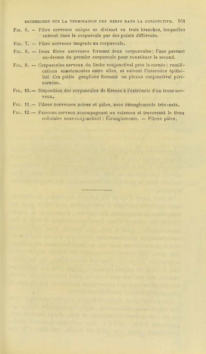 FiG. G. — Fibro nerveuse unique se divisant en trois branches, lesquelles entrent dans le corpuscule par des points différents. FiG. 7. — Fibre nerveuse tangente au corpuscule. FiG. 8. — Deux fibres nerveuses formant deux corpuscules; l'une passant au-dessus du premier corpuscule pour constituer le second. FiG. 9. — Corpuscules nerveux du limbe conjonctival près la cornée: ramifi- cations anastomosées entre elles, et suivant l'interstice épithé- lial. Ces petits ganglions forment un plexus conjonctival péri- cornéen. FiG. 10.— Disposition des corpuscules de Krause à l'extrémité d'un tronc ner- veux, FiG. H.— Fibres nerveuses noires et pâles, avec étranglements très-nets. Fio. 12.— Faisceau nerveux accompagnant un vaisseau et traversant le tissu collulaire sous-conjonctival : Étranglements. — Fibres pâles. r