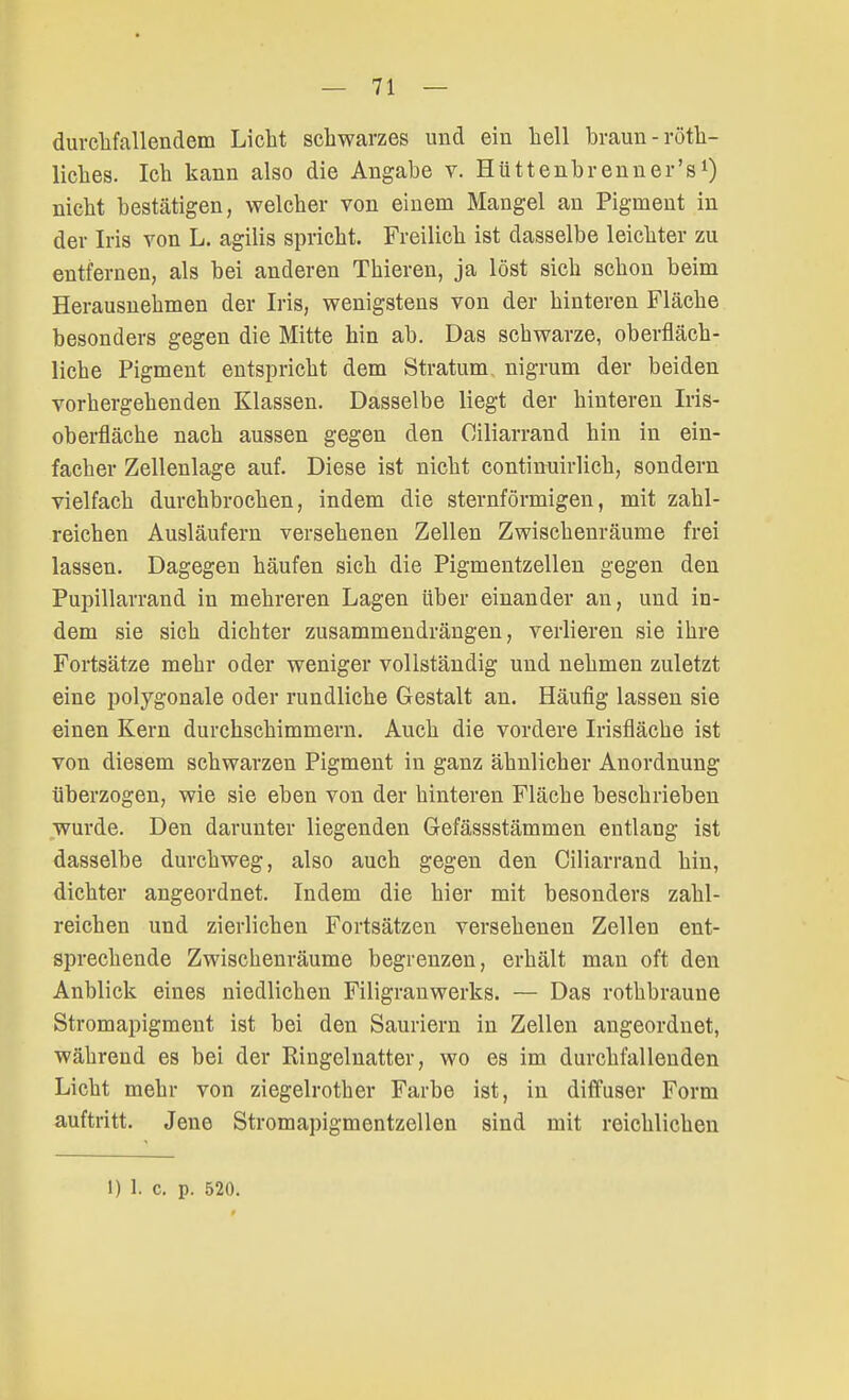 durchfallendem Liebt schwarzes und ein hell braun -rech- liches. Ich kann also die Angabe v. Hüttenbrenner's1) nicht bestätigen, welcher von einem Mangel an Pigment in der Iris von L. agilis spricht. Freilich ist dasselbe leichter zu entfernen, als bei anderen Thieren, ja löst sich schon beim Herausnehmen der Iris, wenigstens von der hinteren Fläche besonders gegen die Mitte hin ab. Das sebwarze, oberfläch- liche Pigment entspricht dem Stratum nigrum der beiden vorhergehenden Klassen. Dasselbe liegt der hinteren Iris- oberfläche nach aussen gegen den Ciliarrand hin in ein- facber Zellenlage auf. Diese ist nicht continuirlich, sondern vielfach durchbrochen, indem die sternförmigen, mit zahl- reichen Ausläufern versehenen Zellen Zwischenräume frei lassen. Dagegen häufen sich die Pigmentzellen gegen den Pupillarrand in mehreren Lagen über einander an, und in- dem sie sich dichter zusammendrängen, verlieren sie ihre Fortsätze mehr oder weniger vollständig und nehmen zuletzt eine polygonale oder rundliche Gestalt an. Häufig lassen sie einen Kern durchschimmern. Auch die vordere Irisfläche ist von diesem schwarzen Pigment in ganz ähnlicher Anordnung überzogen, wie sie eben von der hinteren Fläche beschrieben wurde. Den darunter liegenden Gefässstämmen entlang ist dasselbe durchweg, also auch gegen den Ciliarrand hin, dichter angeordnet. Indem die hier mit besonders zahl- reichen und zierlichen Fortsätzen versehenen Zellen ent- sprechende Zwischenräume begrenzen, erhält man oft den Anblick eines niedlichen Filigranwerks. — Das rothbraune Stromapigment ist bei den Sauriern in Zellen angeordnet, während es bei der Ringelnatter, wo es im durchfallenden Licht mehr von ziegelrother Farbe ist, in diffuser Form auftritt. Jene Stromapigmentzellen sind mit reichlichen