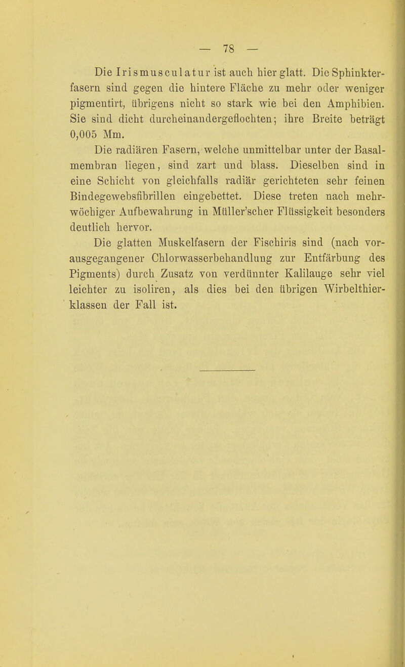 Die Irismusculatur ist auch hier glatt. Die Sphinkter- fasern sind gegen die hintere Fläche zu mehr oder weniger pigmentirt, übrigens nicht so stark wie bei den Amphibien. Sie sind dicht durcheinandergeflochten; ihre Breite beträgt 0,005 Mm. Die radiären Fasern, welche unmittelbar unter der Basal- membran liegen, sind zart und blass. Dieselben sind in eine Schicht von gleichfalls radiär gerichteten sehr feinen Bindegewebsfibrillen eingebettet. Diese treten nach mehr- wöchiger Aufbewahrung in Müller'scher Flüssigkeit besonders deutlich hervor. Die glatten Muskelfasern der Fischiris sind (nach vor- ausgegangener Chlorwasserbehandlung zur Entfärbung des Pigments) durch Zusatz von verdünnter Kalilauge sehr viel leichter zu isoliren, als dies bei den übrigen Wirbelthier- klassen der Fall ist.