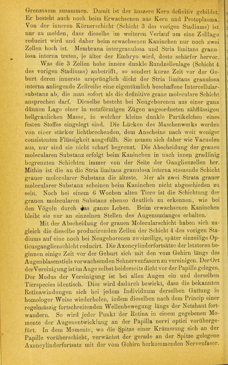 Grenzsaum zusammen. Damit ist der äuszere Kern definitiv gebildet. Er besteht auch noch beim Erwachsenen aus Kern und Protoplasma, Von der inneren Körnerschicht (Schicht 3 des vorigen Stadiums) ist nur zu melden, dasz dieselbe im weiteren Verlauf um eine Zelllage reducirt wird und daher beim erwachsenen Kaninchen nur noch zwei Zellen hoch ist. Membrana intergranulosa und Stria limitans granu- losa interna treten, je älter der Embryo wird, desto schärfer hervor. Was die 3 Zellen hohe innere dunkle Rundzellenlage (Schicht 4 des vorigen Stadiums) anbetrifft, so sondert kurze Zeit vor der Ge- burt deren innerste ursprünglich dicht der Stria limitans granulosa interna anliegende Zellreihe eine eigentümlich beschaffene Intercellular- substanz ab, die man sofort als die definitive graue moleculare Schicht ansprechen darf. Dieselbe besteht bei Neugeborenen aus einer ganz dünnen Lage einer in netzförmigen Zügen angeordneten zähflüssigen hellgraulichen Masse, in welcher kleine dunkle Partikelchen eines festen Stoffes eingelegt sind. Die Lücken des Maschenweiks werden von einer stärker lichtbrechenden, dem Anscheine nach weit weniger consistenten Flüssigkeit ausgefüllt. Sie nemen sich daher wie Vacuolen aus, nur sind sie nicht scharf begrenzt. Die Abscheidung der grauen molecularen Substanz erfolgt beim Kaninchen in nach innen gradlinig begrenzten Schichten immer von der Seite der Ganglienzellen her. Mithin ist die an die Stria limitans granulosa interna stoszende Schicht grauer molecularer Substanz die älteste. Mer als zwei Strata grauer molecularer Substanz scheinen beim Kaninchen nicht abgeschieden zu sein. Noch bei einem 6 Wochen alten Tiei-e ist die Schichtung der grauen molecularen Substanz ebenso deutlich zu erkennen, wie bei den Vögeln durch ^as ganze Leben, Beim erwachsenen Kaninchen bleibt sie nur an einzelnen Stellen des Augenumfanges erhalten. Mit der Abscheidung der grauen Molecularschicht haben sich zu- gleich die dieselbe producirenden Zellen der Schicht 4 des vorigen Sta- diums auf eine noch bei Neugeborenen zweizeilige, später einzeilige Op- ticusganglienschicht reducirt. Die Axencylinderfortsätze der letzteren be- ginnen einige Zeit vor der Geburt sich mit den vom Gehirn längs des Augenblasenstiels vor wachsenden Sehnervenfasern zu vereinigen. Der Ort der Vereinigung ist im Auge selbst beiderseits dicht vor der Papille gelegen. Der Modus der Vereinigung ist bei allen Augen ein und derselben Tierspecies identisch. Dies wird dadurch bewirkt, dasz die bekannten Retinawindungen sich bei jedem Individuum derselben Gattung in homologer Weise wiederholen, indem dieselben nach dem Priucip einer regelmäszig fortschreitenden Wellenbewegung längs der Netzhaut fort- wandern. So wird jeder Punkt der Retina in einem gegebenen Mo- mente der Augenentwicklung an der Papilla nervi optici vorüberge- fürt. In dem Momente, wo die Spitze einer Krümmung sich an der Papille vorüberschiebt, verwächst der gerade an der Spitze gelegene Axencylinderfortsatz mit der vom Gehirn herkommenden Nervenfaser.