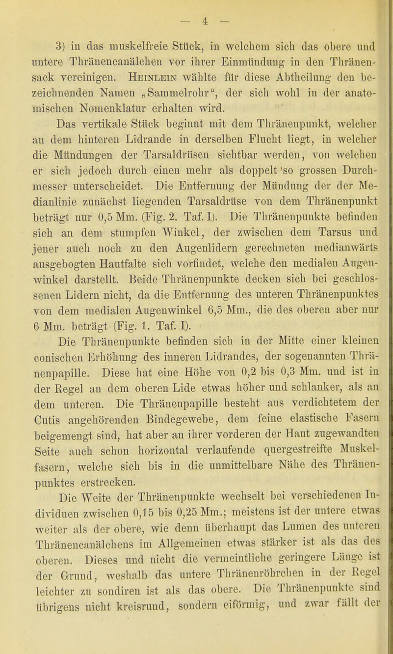 3) in das muskelfreie Stück, in welchem sich das obere und untere Thränencanälchen vor ihrer Einmündung in den Thränen- sack vereinigen. Heinlein wählte für diese Abtheilung den be- zeichnenden Namen „Sammelrohr, der sich wohl in der anato- mischen Nomenklatur erhalten wird. Das vertikale Stück beginnt mit dem Thränenpunkt, welcher an dem hinteren Lidrande in derselben Flucht liegt, in welcher die Mündungen der Tarsaldrüsen sichtbar werden, von welchen er sich jedoch durch einen mehr als doppelt 'so grossen Durch- messer unterscheidet. Die Entfernung der Mündung der der Me- dianlinie zunächst liegenden Tarsaldrüse von dem Thränenpunkt beträgt nur 0,5 Mm. (Fig. 2. Taf. I). Die Thränenpunkte befinden sich an dem stumpfen Winkel, der zwischen dem Tarsus und jener auch noch zu den Augenlidern gerechneten medianwärts ausgebogten Hautfalte sich vorfindet, welche den medialen Augen- winkel darstellt. Beide Thränenpunkte decken sich bei geschlos- senen Lidern nicht, da die Entfernung des unteren Thränenpunktes von dem medialen Augenwinkel 6,5 Mm., die des oberen aber nur 6 Mm. beträgt (Fig. 1. Taf. I). Die Thränenpunkte befinden sich in der Mitte einer kleinen conischen Erhöhung des inneren Lidrandes, der sogenannten Thrä- nenpapille. Diese hat eine Höhe von 0,2 bis 0,3 Mm. und ist in der Regel an dem oberen Lide etwas höher und schlanker, als an dem unteren. Die Thränenpapille besteht aus verdichtetem der Cutis angehörenden Bindegewebe, dem feine elastische Fasern beigemengt sind, hat aber an ihrer vorderen der Haut zugewandten Seite auch schon horizontal verlaufende quergestreifte Muskel- fasern, welche sich bis in die unmittelbare Nähe des Thränen- punktes erstrecken. Die Weite der Thränenpunkte wechselt bei verschiedenen In- dividuen zwischen 0,15 bis 0,25 Mm.; meistens ist der untere etwas weiter als der obere, wie denn überhaupt das Lumen des unteren Thränencanälchens im Allgemeinen etwas stärker ist als das des oberen. Dieses und nicht die vermeintliche geringere Länge ist der Grund, weshalb das untere Thränenröhrchen in der Regel leichter zu sondiren ist als das obere. Die Thränenpunkte sind übrigens nicht kreisrund, sondern eiförmig, und zwar fällt der