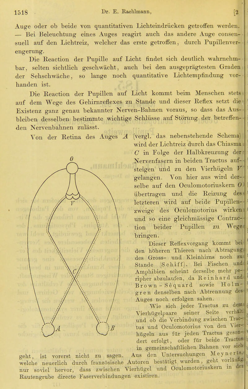 Auge oder ob beide von quantitativen Lichteindrücken getroffen werden. — Bei Beleuchtung eines Auges reagirt auch das andere Auge consen- suell auf den Lichtreiz, welcher das erste getroffen, durch Pupillenver- 1 engerung. Die Reaction der Pupille auf Licht findet sich deutlich wahrnehm- bar , selten sichtlich geschwächt, auch bei den ausgeprägtesten Graden der Sehschwäche, so lange noch quantitative Lichtempfindung vor- handen ist. Die Reaction der Pupillen auf Licht kommt beim Menschen stets- auf dem Wege des Gehirnreflexes zu Stande und dieser Reflex setzt die' 1 Existenz ganz genau bekannter Nerven-Bahnen voraus, so dass das Aus-- 1 bleiben desselben bestimmte wichtige Schlüsse auf Störung der betreffen-- i den Nervenbahnen zulässt. Von der Retina des Auges A (vergl. das nebenstehende Schema) wird der Lichtreiz durch das Chiasma i C in Folge der Halbkreuzung derr Nervenfasern in beiden Tractus auf- steigen und zu den Vierhügeln V gelangen. Von hier aus wird der- selbe auf den Oculomotoriuskem 0 ! übertragen und die Reizung clesr j letzteren wird auf beide Pupillen— 1 zweige des Oculomotorius wirken ; und so eine gleichmässige Contrac— tion beider Pupillen zu Wege bringen. Dieser Reflexvorgang kommt bei den höheren Thieren nach Abtragimg. des Gross- und Kleinhirns noch zw : Stande (Schiff). Bei Fischen und § Amphibien scheint derselbe mehr pe— \ ripher abzulaufen, da Reinhard und 1 Brown-Sequard sowie Holm- ; eren denselben nach Abtrennung des * Auges noch erfolgen sahen. Wie sich jeder Tractus zu dem Vierhügelpaare seiner Seite verhält I und ob die Verbindung zwischen Trac- j tus und Oculomotorius von den Vier- hügeln aus für jeden Tractus geson- * dert erfolgt, oder für beide Tractus \ in gemeinschaftlichen Bahnen vor sich ,, geht, ist vorerst nicht zu sagen. Aus den Untersuchungen Meynerts. , welche neuerlich durch französische Autoren bestätigt wurden, geht vorläufig jf| nur soviel hervor, dass zwischen Vierhügel und Oculomotoriuskem in dei Rautengrube directe Faserverbindungen existiren.