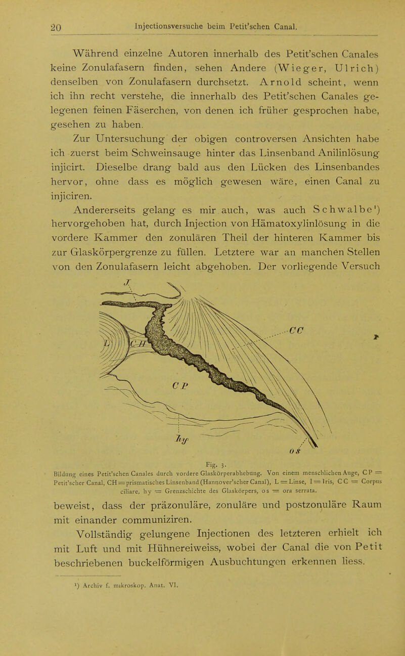 Während einzelne Autoren innerhalb des Petit'schen Canales keine Zonulafasern finden, sehen Andere (Wieger, Ulrich) denselben von Zonulafasern durchsetzt. Arnold scheint, wenn ich ihn recht verstehe, die innerhalb des Petit'schen Canales ge- legenen feinen Fäserchen, von denen ich früher gesprochen habe, gesehen zvi haben. Zur Untersuchung der obigen controversen Ansichten habe ich zuerst beim Schweinsauge hinter das Linsenband Anilinlösung injicirt. Dieselbe drang bald aus den Lücken des Linsenbandes hervor, ohne dass es möglich gewesen wäre, einen Canal zu injiciren. Andererseits gelang es mir auch, was auch Schwalbe') hervorgehoben hat, durch Injection von HämatoxyHnlösung in die vordere Kammer den zonulären Theil der hinteren Kammer bis zur Glaskörpergrenze zu füllen. Letztere war an manchen Stellen von den Zonulafasern leicht abgehoben. Der vorliegende Versuch Bildung eines Petit'schen Canales durch vordere Glaskörperabhebung. Von einem menschlichen Auge, C P = Petit'scher Canal, CH = prismatisches Linsenband (Hannover'scher Canal), L = Linse, l = lris, CC = Corpus ciliare, hy — Grenzschichte des Glaskörpers, os ~ ora serrata. beweist, dass der präzonuläre, zonuläre und po.stzonuläre Raum mit einander communiziren. Vollständig gelungene Injectionen des letzteren erhielt ich mit Luft und mit Hühnereiweiss, wobei der Canal die von Petit beschriebenen buckeiförmigen Ausbuchtungen erkennen Hess. ') Archiv f. miltroskup. Anat. VL