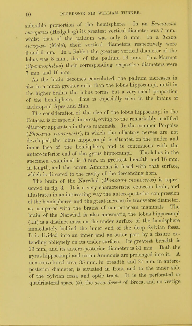 siderable proportion of the hemisphere. In an Erinaceus europcms (Hedgehog) its greatest vertical diameter was 7 mm., whilst that of the pallium was only 8 mm. In a Tal2)a europcea (Mole), their vertical diameters respectively were 3 and 6 mm. In a Rabbit the greatest vertical diameter of the lobus was 8 mm., that of the pallium 16 mm. In a Marmot {Spermophilus) their corresponding respective diameters were 7 mm. and 16 mm. As the brain becomes convoluted, the pallium increases in size in a much greater ratio than the lobus hippocampi, until in the higher brains the lobus forms but a very small proportion of the hemisphere. This is especially seen in the brains of anthropoid Apes and Man. The consideration of the size of the lobus hippocampi in the Cetacea is of especial interest, owing to the remarkably modified olfactory apparatus in those mammals. In the common Porpoise (Phoccena communis), in which the olfactory nerves are not developed, the lobus hippocampi is situated on the under and inner face of the hemisphere, and is continuous with the antero-inferior end of the gyrus hippocampi. The lobus in the specimen examined is 8 mm. in greatest breadth and 18 mm. in length, and the cornu Ammonis is fused with that surface, which is directed to the cavity of the descending horn. The brain of the Narwhal (Monodon monoceros) is repre- sented in fig. 3. It is a very characteristic cetacean brain, and illustrates in an interesting way the antero-posterior compression of the hemispheres, and the great increase in transverse diameter, as compared with the brains of non-cetacean mammals. The brain of the Narwhal is also anosmatic, the lobus hippocampi (lh) is a distinct mass on the under surface of the hemisphere immediately behind the inner end of the deep Sylvian fossa. It is divided into an inner and an outer part by a fissure ex- tending obliquely on its under surface. Its greatest breadth is 19 mm., and its antero-posterior diameter is 31 mm. Both the gyrus hippocampi and cornu Ammonis are prolonged into it. A non-convoluted area, 35 mm. in breadth and 27 mm. in antero- posterior diameter, is situated in front, and to the inner side of the Sylvian fossa and optic tract. It is the perforated or quadrilateral space (q), the area desert of Broca, and no vestige