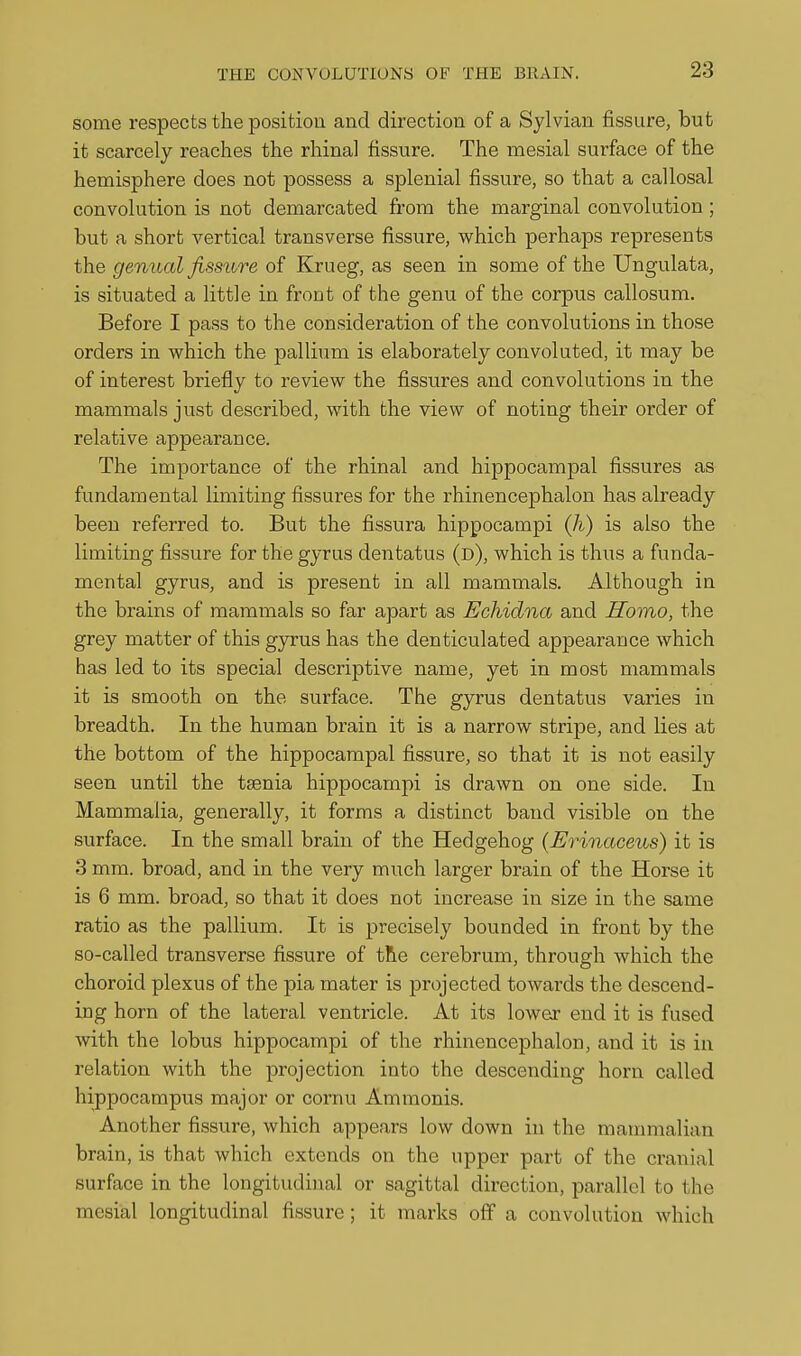 some respects the position and direction of a Sylvian fissure, but it scarcely reaches the rhinal fissure. The mesial surface of the hemisphere does not possess a splenial fissure, so that a callosal convolution is not demarcated from the marginal convolution; but a short vertical transverse fissure, which perhaps represents the genual fissure of Krueg, as seen in some of the Ungulata, is situated a little in front of the genu of the corpus callosum. Before I pass to the consideration of the convolutions in those orders in which the pallium is elaborately convoluted, it may be of interest briefly to review the fissures and convolutions in the mammals just described, with the view of noting their order of relative appearance. The importance of the rhinal and hippocampal fissures as fundamental limiting fissures for the rhinencephalon has already been referred to. But the fissura hippocampi (/i) is also the limiting fissure for the gyrus dentatus (d), which is thus a funda- mental gyrus, and is present in all mammals. Although in the brains of mammals so far apart as Echidna and Homo, the grey matter of this gyrus has the denticulated appearance which has led to its special descriptive name, yet in most mammals it is smooth on the surface. The gyrus dentatus varies in breadth. In the human brain it is a narrow stripe, and lies at the bottom of the hippocampal fissure, so that it is not easily seen until the taenia hippocampi is drawn on one side. In Mammalia, generally, it forms a distinct band visible on the surface. In the small brain of the Hedgehog {Erinaceus) it is 3 mm. broad, and in the very much larger brain of the Horse it is 6 mm. broad, so that it does not increase in size in the same ratio as the pallium. It is precisely bounded in front by the so-called transverse fissure of tRe cerebrum, through which the choroid plexus of the pia mater is projected towards the descend- ing horn of the lateral ventricle. At its lower end it is fused with the lobus hippocampi of the rhinencephalon, and it is in relation with the projection into the descending horn called hippocampus major or cornu Ammonis. Another fissure, which appears low down in the mammalian brain, is that which extends on the upper part of the cranial surface in the longitudinal or sagittal direction, parallel to the mesial longitudinal fissure; it marks off a convolution which