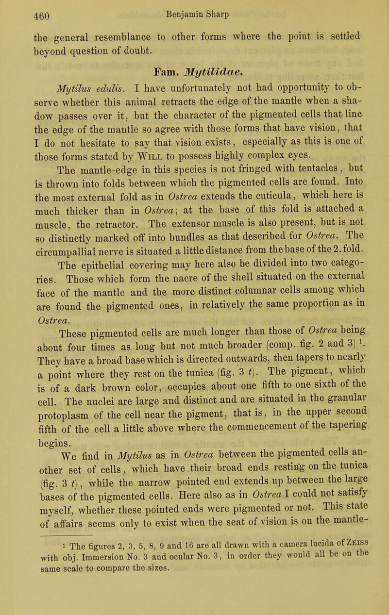 the general resemblance to other forms where the point is settled beyond question of doubt. Fam. Mytilidae. Mytilus edulis. I have unfortunately not had opportunity to ob- serve whether this animal retracts the edge of the mantle when a sha- dow passes over it, but the character of the pigmented cells that line the edge of the mantle so agree with those forms that have vision, lhat I do not hesitate to say that vision exists, especially as this is one of those forms stated by Will to possess highly complex eyes. The mantle-edge in this species is not fringed with tentacles , but is thrown into folds between which the pigmented cells are found. Into the most external fold as in Ostrea extends the cuticula, which here is much thicker than in Ostrea ; at the base of this fold is attached a muscle, the retractor. The extensor muscle is also present, but is not so distinctly marked off into bundles as that described for Ostrea. The circumpallial nerve is situated a little distance from the base of the 2. fold. The epithelial covering may here also be divided into two catego- ries. Those which form the nacre of the shell situated on the external face of the mantle and the more distinct columnar cells among which are found the pigmented ones, in relatively the same proportion as in Ostrea. These pigmented cells are much longer than those of Ostrea being about four times as long but not much broader (comp. fig. 2 and 3) \. They have a broad base which is directed outwards, then tapers to nearly a point where they rest on the tunica (fig. 3 t). The pigment, which is of a dark brown color, occupies about one fifth to one sixth of the cell. The nuclei are large and distinct and are situated in the granular protoplasm of the cell near the pigment, that is, in the upper second fifth of the cell a little above where the commencement of the tapering begins. We find in Mytilus as in Ostrea between the pigmented cells an- other set of cells, which have their broad ends resting on the tunica (fig. 3 t), while the narrow pointed end extends up between the large bases of the pigmented cells. Here also as in Ostrea I could not satisfy myself, whether these pointed ends were pigmented or not. This state of affairs seems only to exist when the seat of vision is on the mantle- i The figures 2, 3, 5, 8, 9 and 16 are all drawn with a camera lucida of Zeiss with obj. Immersion No. 3 and ocular No. 3, in order they would all he on the same scale to compare the sizes.