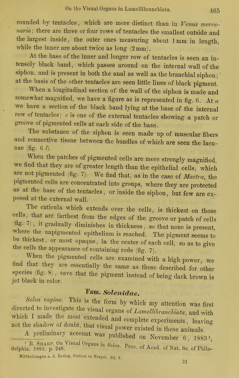 rounded by tentacles, which are more distinct than in Venus meree- naria; there are three or four rows of tentacles the smallest outside and the largest inside, the outer ones measuring about 1mm in length, while the inner are about twice as long (2 mm). At the base of the inner and longer row of tentacles is seen an in- tensely black band, which passes around on the internal wall of the siphon, and is present in both the anal as well as the branchial siphon;' at the basis of the other tentacles are seen little lines of black pigment. When a longitudinal section of the wall of the siphon is made and somewhat magnified, we have a figure as is represented in fig. 6. At a we have a section of the black band lying at the base of the internal row of tentacles; c is one of the external tentacles showing a patch or groove of pigmented cells at each side of the base. The substance of the siphon is seen made up of muscular fibers and connective tissue between the bundles of which are seen the lacu- nae (fig. 6 I). When the patches of pigmented cells are more strongly magnified we find that they are of greater length than the epithelial cells, which are not pigmented (fig. 7). We find that, as in the case of Mactra, the pigmented cells are concentrated into groups, where they are protected as at the base of the tentacles , or inside the siphon, but few are ex- posed at the external wall. The cuticula which extends over the cells, is thickest on those cells that are farthest from the edges of the groove or patch of cells (tog. 7), it gradually diminishes in thickness, so that none is present where the unpigmented epithelium is reached. The pigment seems to be thickest, or most opaque, in the center of each cell, so as to give trie cells the appearance of containing rods (fig. 7). When the pigmented cells are examined with a high power we find that they are essentially the same as those described for other species (fig. 8) save that the pigment instead of being dark brown is jet black in color. Fam. Solenidae. . Solen vagina. This is the form by which my attention was first directed to investigate the visual organs of ZamelMranchiatu, and with which I made the most extended and complete experiments, leaving not the shadow of doubt, that visual power existed in these animals ^^preliminary account was published on November 6, 18831 1 B. Sharp, On Visual Organs in S0lo» p„_ . . , „ delphia. 1883. p. 248. 8 e>olen- Proc- of Acad, of Nat. Sc. of Phila- llittheilungen a. d. Zoolog. Station zu Neapol. Bd. V 31