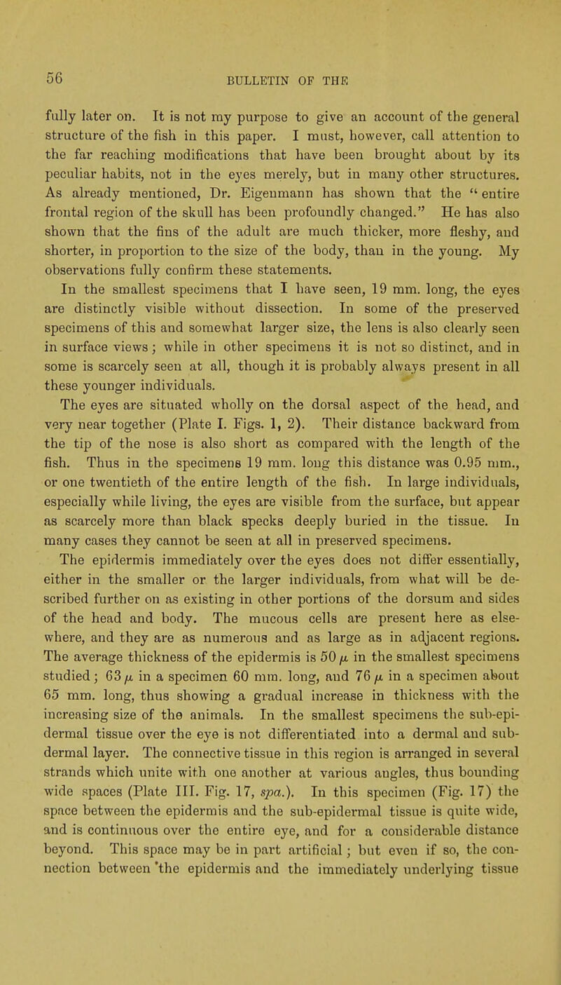 fully later on. It is not my purpose to give an account of the general structure of the fish in this paper. I must, however, call attention to the far reaching modifications that have heen brought about by its peculiar habits, not in the eyes merely, but in many other structures. As already mentioned, Dr. Eigeumann has shown that the  entire frontal region of the skull has been profoundly changed. He has also shown that the fins of the adult are much thicker, more fleshy, and shorter, in proportion to the size of the body, than in the young. My observations fully confirm these statements. In the smallest specimens that I have seen, 19 mm. long, the eyes are distinctly visible without dissection. In some of the preserved specimens of this and somewhat larger size, the lens is also clearly seen in surface views; while in other specimens it is not so distinct, and in some is scarcely seen at all, though it is probably always present in all these younger individuals. The eyes are situated wholly on the dorsal aspect of the head, and very near together (Plate I. Figs. 1, 2). Their distance backward from the tip of the nose is also short as compared with the length of the fish. Thus in the specimens 19 mm. long this distance was 0.95 mm., or one twentieth of the entire length of the fish. In large individuals, especially while living, the eyes are visible from the surface, but appear as scarcely more than black specks deeply buried in the tissue. In many cases they cannot be seen at all in preserved specimens. The epidermis immediately over the eyes does not differ essentially, either in the smaller or the larger individuals, from what will be de- scribed further on as existing in other portions of the dorsum and sides of the head and body. The mucous cells are present here as else- where, and they are as numerous and as large as in adjacent regions. The average thickness of the epidermis is 50 ft in the smallest specimens studied; 63 p in a specimen 60 mm. long, and 76 fi in a specimen about 65 mm. long, thus showing a gradual increase in thickness with the increasing size of the animals. In the smallest specimens the sub-epi- dermal tissue over the eye is not differentiated into a dermal and sub- dermal layer. The connective tissue in this region is arranged in several strands which unite with one another at various augles, thus bounding wide spaces (Plate III. Fig. 17, spa.). In this specimen (Fig. 17) the space between the epidermis and the sub-epidermal tissue is quite wide, and is continuous over the entire eye, and for a considerable distance beyond. This space may be in part artificial; but even if so, the con- nection between 'the epidermis and the immediately underlying tissue