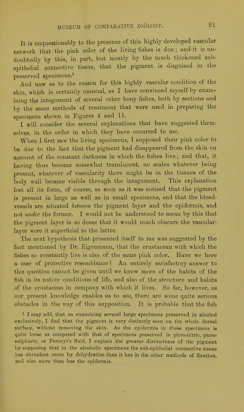 It is unquestionably to the presence of this highly developed vascular network that the pink color of the living fishes is due j and it is un- doubtedly by this, in part, but mostly by the much thickened sub- epithelial connectivo tissue, that the pigment is disguised in the preserved specimens.1 And now as to the reason for this highly vascular condition of the skin, which is certainly unusual, as I have convinced myself by exam- ining the integument of several other bony fishes, both by sections and by the same methods of treatment that were used in preparing the specimens shown in Figures 4 and 11. I will consider the several explanations that have suggested them- selves, in the order in which they have occurred to me. When I first saw the living specimens, I supposed their pink color to be due to the fact that the pigment had disappeared from the skin on account of the constant darkness in which the fishes live; and that, it having thus become somewhat translucent, no scales whatever being present, whatever of vascularity there might be in the tissues of the body wall became visible through the integument. This explanation lost all its force, of course, as soon as it was noticed that the pigment is present in large as well as in small specimens, and that the blood- vessels are situated betiveen the pigment layer and the epidermis, and not under the former. I would not be understood to mean by this that the pigment layer is so dense that it would much obscure the vascular- layer were it superficial to the latter. The next hypothesis that presented itself to me was suggested by the fact mentioned by Dr. Eigenmann, that the crustacean with which the fishes so constantly live is also of the same pink color. Have we here a case of protective resemblance 1 An entirely satisfactory answer to this question cannot be given until we know more of the habits of the fish in its native conditions of life, and also of the structure and habits of the crustacean in company, with which it lives. So far, however, as our present knowledge enables us to see, there are some quite serious obstacles in the way of this supposition. It is probable that the fish 1 I may add, that on examining several large specimens preserved in alcohol exclusively, I find that the pigment is very distinctly seen on the whole dorsal surface, without removing the skin. As the epidermis in these specimens is quite loose as compared with that of specimens preserved in picro-nitric, picro- sulphuric, or Perenyi's fluid, I explain the greater distinctness of the pigment by supposing that in the alcoholic specimens the sub-epithelial connective tissue has shrunken more by dehydration than it has in the other methods of fixation, and also more than lias the epidermis.