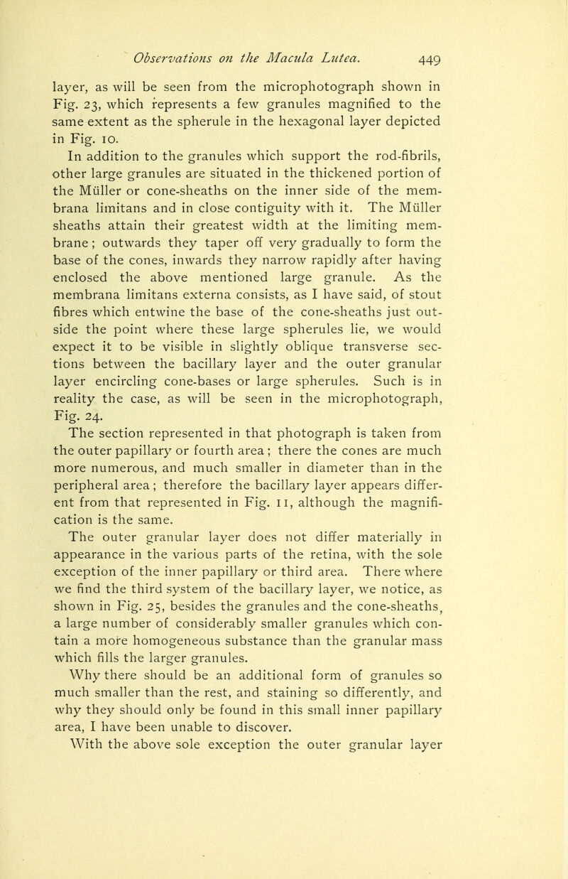 layer, as will be seen from the microphotograph shown in Fig. 23, which represents a few granules magnified to the same extent as the spherule in the hexagonal layer depicted in Fig. 10. In addition to the granules which support the rod-fibrils, other large granules are situated in the thickened portion of the Miiller or cone-sheaths on the inner side of the mem- brana limitans and in close contiguity with it. The Miiller sheaths attain their greatest width at the limiting mem- brane ; outwards they taper off very gradually to form the base of the cones, inwards they narrow rapidly after having enclosed the above mentioned large granule. As the membrana limitans externa consists, as I have said, of stout fibres which entwine the base of the cone-sheaths just out- side the point where these large spherules lie, we would expect it to be visible in slightly oblique transverse sec- tions between the bacillary layer and the outer granular layer encircling cone-bases or large spherules. Such is in reality the case, as will be seen in the microphotograph, Fig. 24. The section represented in that photograph is taken from the outer papillary or fourth area ; there the cones are much more numerous, and much smaller in diameter than in the peripheral area; therefore the bacillary layer appears differ- ent from that represented in Fig. 11, although the magnifi- cation is the same. The outer granular layer does not differ materially in appearance in the various parts of the retina, with the sole exception of the inner papillary or third area. There where we find the third system of the bacillary layer, we notice, as shown in Fig. 25, besides the granules and the cone-sheaths, a large number of considerably smaller granules which con- tain a more homogeneous substance than the granular mass which fills the larger granules. Why there should be an additional form of granules so much smaller than the rest, and staining so differently, and why they should only be found in this small inner papillary area, I have been unable to discover. With the above sole exception the outer granular layer