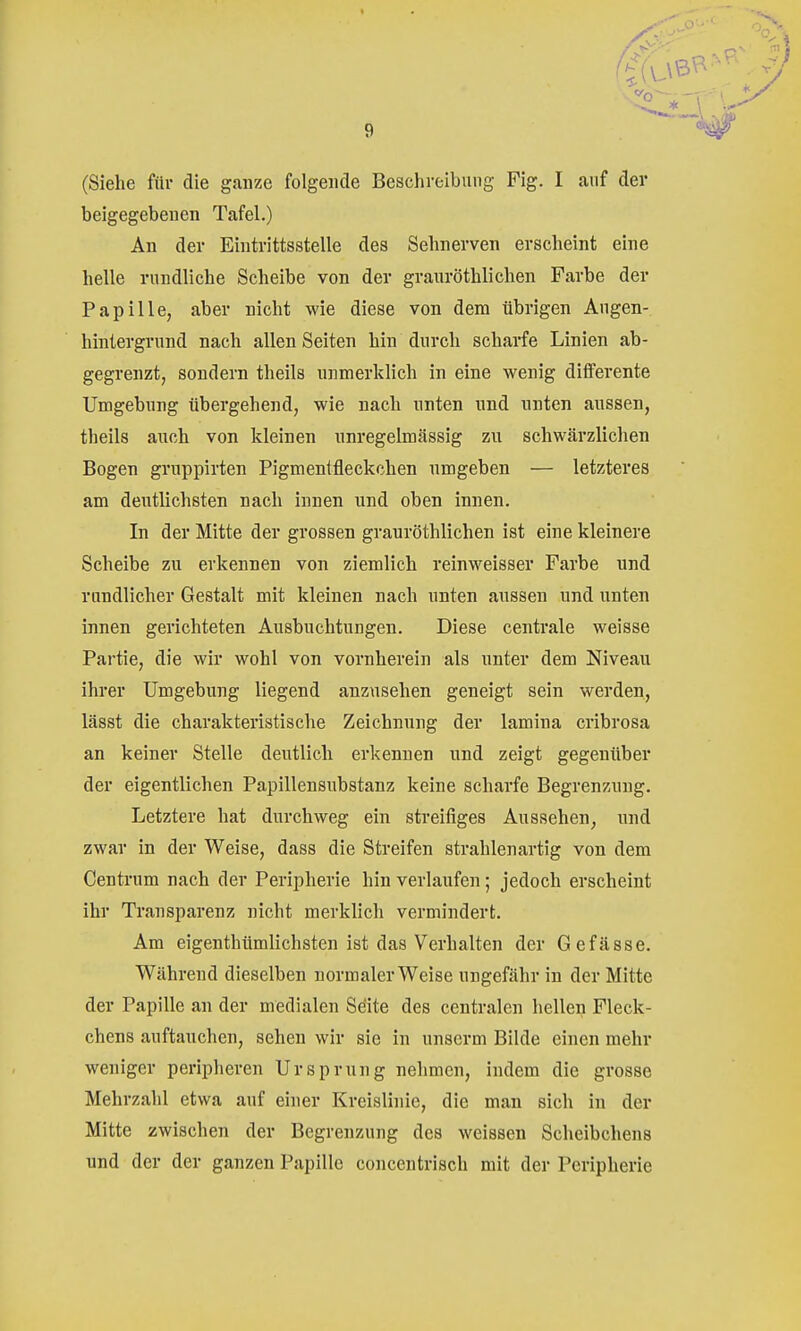 (Siehe fttr die ganze folgende Beschreibung Fig. I auf der beigegebenen Tafel.) An der Eintrittsstelle des Sehnerven erscheint eine helle rundliche Scheibe von der granröthlichen Farbe der Papille, aber nicht wie diese von dem übrigen Angen- hintergrund nach allen Seiten hin durch scharfe Linien ab- gegrenzt, sondern theils unmerklich in eine wenig differente Umgebung übergehend, wie nach nnten und nnten aussen, theils auch von kleinen unregelmässig zu schwärzlichen Bogen gruppirten Pigmentfleckchen umgeben — letzteres am deutlichsten nach innen und oben innen. In der Mitte der grossen grauröthlichen ist eine kleinere Scheibe zu erkennen von ziemlich reinweisser Farbe und randlicher Gestalt mit kleinen nach unten aussen und unten innen gerichteten Ausbuchtungen. Diese centrale weisse Partie, die wir wohl von vornherein als unter dem Niveau ihrer Umgebung liegend anzusehen geneigt sein werden, lässt die charakteristische Zeichnung der lamina cribrosa an keiner Stelle deutlich erkennen und zeigt gegenüber der eigentlichen Papillensubstanz keine scharfe Begrenzung. Letztere hat durchweg ein streifiges Aussehen, und zwar in der Weise, dass die Streifen strahlenartig von dem Centrum nach der Peripherie hin verlaufen ; jedoch erscheint ihr Transparenz nicht merklich vermindert. Am eigenthümlichsten ist das Verhalten der Gefässe. Während dieselben normalerweise ungefähr in der Mitte der Papille an der medialen Seite des centralen hellen Fleck- chens auftauchen, sehen wir sie in unserm Bilde einen mehr weniger peripheren Ursprung nehmen, indem die grosse Mehrzahl etwa auf einer Kreislinie, die man sich in der Mitte zwischen der Begrenzung des weissen Scheibchens und der der ganzen Papille concentrisch mit der Peripherie