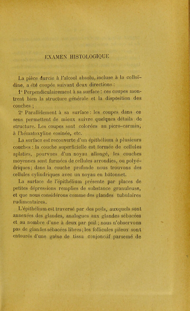 EXAMEN HISTOLOGIQUE La pièce durcie à l'alcool absolu, incluse à la colloï- dine, a été coupée suivant deux directions : 1° Perpendiculairement à sa surface : ces coupes mon- trent bien la structure générale et la disposition des couches ; 2° Parallèlement à sa surface : les coupes dans ce sens permettent de mieux suivre quelques détails de structure. Les coupes sont colorées au picro-carmin, à l'hématoxyline eosinée, etc. La surface est recouverte d'un épithélium à plusieurs couches : la couche superficielle est formée de cellules aplaties, pourvues d'un noyau allongé, les couches moyennes sont formées de cellules arrondies, ou polyé- driques; dans la couche profonde nous trouvons des cellules cylindriques avec un noyau en bâtonnet. La surface de Tépithélium présente par places de petites dépressions remplies de substance granuleuse, et que nous considérons comme des glandes tubulaires rudimentaires. L'épithélium est traversé par des poils, auxquels sont annexées des glandes, analogues aux glandes sébacées et au nombre d'une à deux par poil ; nous n'observons pas de glandes sébacées libres; les follicules pileux sont entourés d'une gaine de tissu conjonclif parsemé de