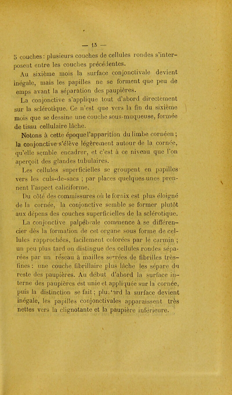 5 couches: plusieurs couches de cellules rondes s'inter- posent entre les couches précédentes. Au sixième mois la surface conjonctivale devient inégale, mais les papilles ne se forment que peu de emps avant la séparation des paupières. La conjonctive s'applique tout d'abord directement sur la sclérotique. Ce n'est que vers la fin du sixième mois que se dessine une couche sous-muqueuse, formée de tissu cellulaire lâche. Notons à cette époque l'apparition du limbe cornéen; la conjonctive s'élève légèrement autour de la cornée, qu'elle semble encadrer, et c'est à ce niveau que l'on aperçoit des glandes tubulaires. Les cellules superficielles se groupent en papilles vers les culs-de-sacs ; par places quelques-unes pren- nent l'aspect caliciforme. Du côté des commissures où le fornix est plus éloigné de la cornée, la conjonctive semble se former plutôt aux dépens des couches superficielles de la sclérotique. La conjonctive palpéboale commence à se différen- cier dès la formation de cet organe sous forme de cel- lules rapprochées, facilement colorées par le carmin ; un peu plus tard on distingue des cellules rondes sépa- rées par un réseau à mailles serrées de fibrilles très- fines : une couche fibrillaire plus lâche les sépare du reste des paupières. Au début d'abord la surface in- terne des paupières est unie et appliquée sur la cornée, puis la distinction se fait ; plumard la surface devient inégale, les papilles conjonctivales apparaissent très nettes vers la clignotante et la paupière inférieure.