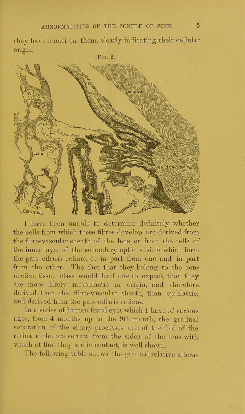 they have miclei on them, clearly indicating their cellular oiigin. Fig. 2. I have been unable to determine definitely whether the cells from which these fibres develop are derived from the fibro-vascular sheath of the lens, or from the cells of the inner layer of the secondary optic vesicle which forni the pars ciliaris retinae, or m part from one and in part from the other. The fact that they belong to the con- nective tissue class would lead one to expect, that they are more hkely mesoblastic in origin, and therefore derived from the fibro-vascular sheath, than epiblastic, and derived from the pars ciliaris retinae. In a series of human foetal eyes which I have of various ages, from 4 months up to the 9th month, the gradual separation of the ciliary processes and of the fold of the retina at the ora serrata from the sides of the lens with which at first they are in contact, is well shown. The following table shows the gradual relative altera-