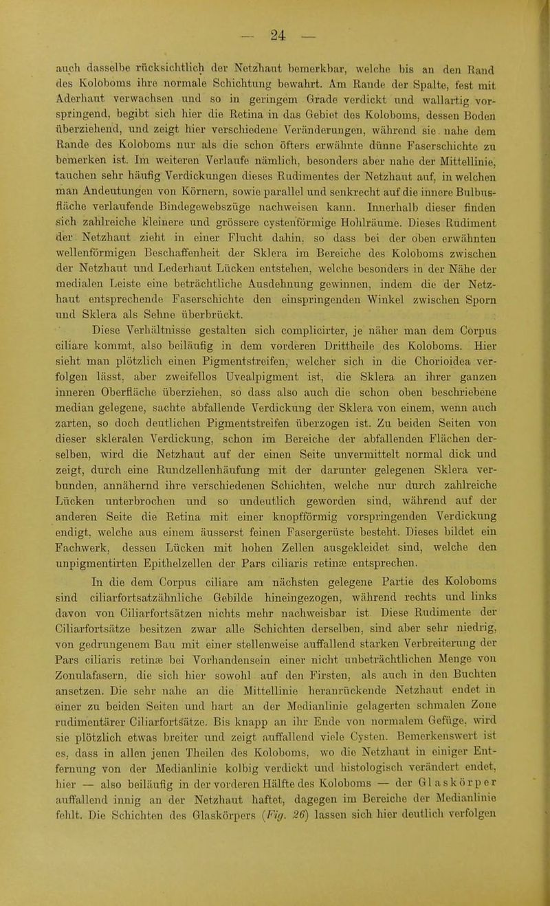 auch dasselbe rücksichtlich der Netzhaut bemerkbar, welche bis an den Rand des Koloboms ihre normale Schichtung bewahrt. Am Ramie der Spalte, lest mit Aderhant verwachsen und so in geringem Grade verdickt und wallartig vor- springend, begibt sich hier die Retina in das Gebiet dos Koloboms, dessen Boden überziehend, und zeigt hier verselüedene Veränderungen, während sie . nahe dem Rande des Koloboms nur als die schon öfters erwähnte dünne Faserschichte zu bemerken ist. Im weiteren Verlaute nämlich, besonders aber nahe der Mittellinie, tauchen sehr häufig Verdickungen dieses Rudimentes der Netzhaut auf, in welchen man Andeutungen von Körnern, sowie parallel und senkrecht auf die innere Bulbus^ fläche verlaufende Bindegewebszüge nachweisen kann. Innerhalb dieser finden sich zahlreiche kleinere und grössere cystenförmige Hohlräume. Dieses Rudiment der Netzhaut zieht in einer Flucht dahin, so dass bei der oben erwähnten wellenförmigen Beschaffenheit der Sklera im Bereiche des Koloboms zwischen der Netzhaut und Lederhaut Lücken entstehen, welche besonders in der Nähe der medialen Leiste eine beträchtliche Ausdehnung gewinnen, indem die der Netz- haut entsprechende Faserschichte den einspringenden Winkel zwischen Sporn uud Sklera als Sehne überbrückt. Diese Verhältnisse gestalten sich complicirter, je näher man dem Corpus ciliare, kommt, also beiläufig in dem vorderen Drittheile des Koloboms. Iiier sieht man plötzlich einen Pigmentstreifen, welcher sich in die Chorioidea ver- folgen lässt. aber zweifellos Uvealpigment ist, die Sklera an ihrer ganzen inneren Oberfläche überziehen, so dass also auch die schon oben beschriebene median gelegene, sachte abfallende Verdickung der Sklera von einem, wenn auch zarten, so doch deutlichen Pigmentstreifen überzogen ist. Zu beiden Seiten von dieser skleralen Verdickung, schon im Bereiche der abfallenden Flächen der- selben, wird die Netzhaut auf der einen Seite unvermittelt normal dick und zeigt, durch eine Rundzellenhäufung mit der darunter gelegenen Sklera ver- bunden, annähernd ihre verschiedenen Schichten, welche nur durch zahlreiche Lücken unterbrochen und so undeutlich geworden sind, während auf der anileren Seite die Retina mit einer knopfförmig vorspringenden Verdickung endigt, welche aus einem äusserst feinen Fasergerüste besteht. Dieses bildet ein Fachwerk, dessen Lücken mit hohen Zellen ausgekleidet sind, welche den unpigmentirten Epithelzellen der Pars eiliaris retinae entsprechen. In die dem Corpus ciliare am nächsten gelegene Partie des Koloboms sind eiliarfortsatzähnliche Gebilde hineingezogen, während rechts und links davon von Ciliarfortsätzen nichts mehr nachweisbar ist Diese Rudimente der Ciliarfortsätze besitzen zwar alle Schichten derselben, sind aber sehr niedrig, von gedi-ungenem Bau mit einer stellenweise auffallend starken Verbreiterung der Pars eiliaris retinal bei Vorhandensein einer nicht unbeträchtlichen Menge von Zonulafasern, die sich hier sowohl auf den Firsten, als auch in den Buchten ansetzen. Die sehr nahe an die Mittellinie heranrückende Netzhaut endet in einer zu beiden Seiten und hart an der Medianlinie gelagerten schmalen Zone rudimentärer Ciliarforts'ätze. Bis knapp an ihr Ende von normalem Gefüge, wird sie plötzlich etwas breiter und zeigt auffallend viele Cysten. Bemerkenswerl isl es, dass in allen jenen Theilen des Koloboms, wo die Netzhaut in einiger Ent- fernung von der Medianlinie kolbig verdickt und histologisch verändert endet, hier — also beiläufig in der vorderen Hälfte des Koloboms — der Glaskörper auffallend innig an der Netzhaut haftet, dagegen im Bereiche der Medianlinie fehlt. Die Schichten des Glaskörpers {FUj. 26) lassen sich hier deutlich verfolgen