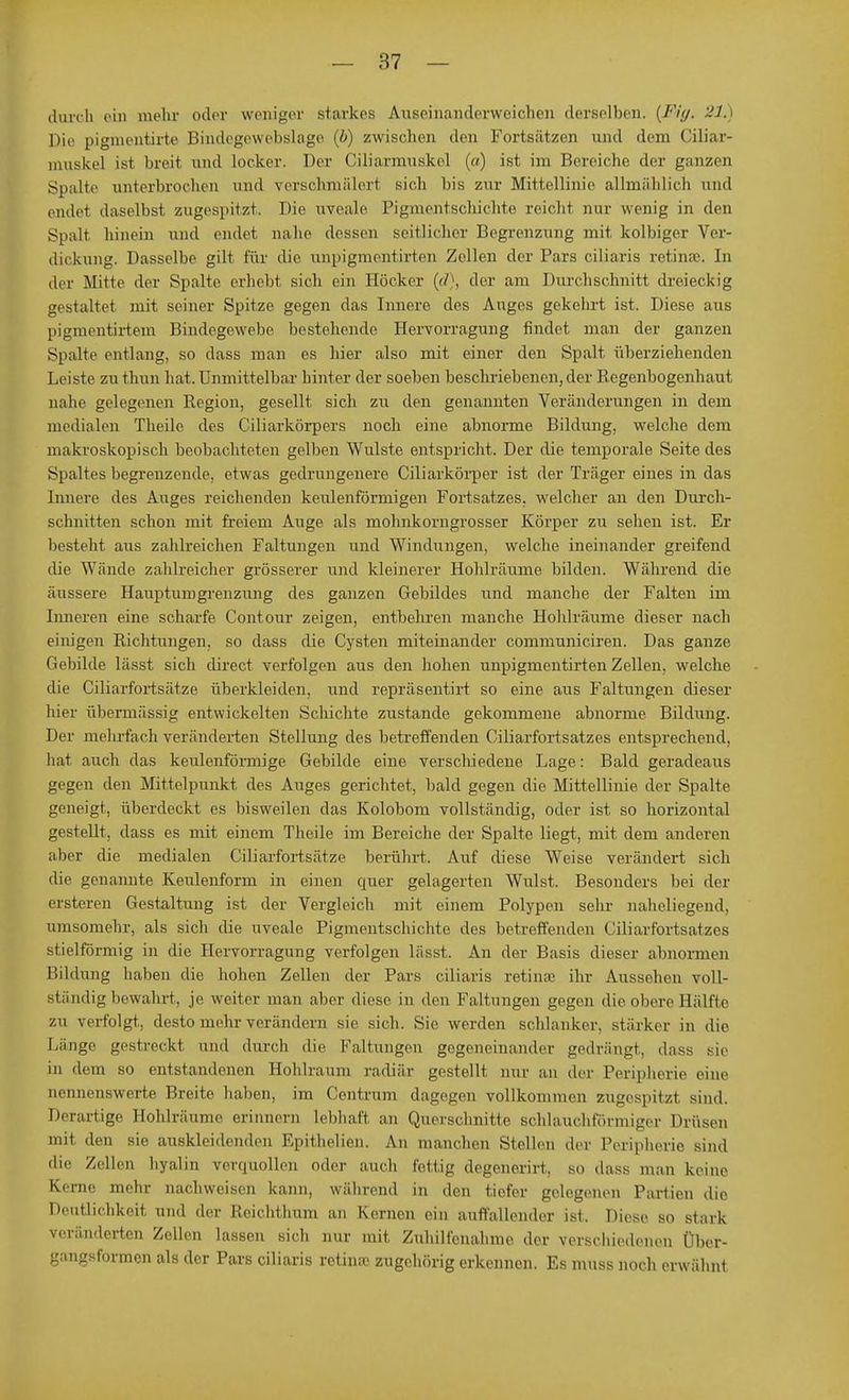 durch ein mehr oder weniger starkes Auseinanderweichen derselben. [F4g, 21.) Die pigmentirte Bindcgewebslage (b) zwischen den Fortsätzen und dem Ciliar- muskel ist breit und locker. Der Ciliarmuskel («) ist im Bereiche der ganzen Spalte unterbrochen und verschmälert sich bis zur Mittellinie allmählich und endet daselbst zugespitzt. Die uveale Pigmentschichte reicht nur wenig in den Spalt hinein und endet nahe dessen seitlicher Begrenzung mit kolbiger Ver- dickung. Dasselbe gilt für die unpigmentirten Zellen der Pars eiliaris retinae. In der Mitte der Spalte erhebt sich ein Höcker (d), der am Durchschnitt dreieckig gestaltet mit seiner Spitze gegen das Innere des Anges gekehrt ist. Diese aus pigruentirtem Bindegewebe bestehende Hervorragung findet man der ganzen Spalte entlang, so dass man es hier also mit einer den Spalt überziehenden Leiste zu thun hat. Unmittelbar hinter der soeben beschriebenen, der Regenbogenhaut nahe gelegenen Region, gesellt sich zu den genannten Veränderungen in dem medialen Theile des Ciliarkörpers noch eine abnorme Bildung, welche dem makroskopisch beobachteten gelben Wulste entspricht. Der die temporale Seite des Spaltes begrenzende, etwas gedrungenere Ciliarkörper ist der Träger eines in das Innere des Auges reichenden keulenförmigen Fortsatzes, welcher an den Durch- schnitten schon mit freiem Auge als mohnkorngrosser Körper zu sehen ist. Er besteht aus zahlreichen Faltungen und Windungen, welche ineinander greifend die Wände zahlreicher grösserer und kleinerer Hohlräume bilden. Während die äussere Hauptumgrenzung des ganzen Gebildes und manche der Falten im Inneren eine scharfe Contour zeigen, entbehren manche Hohlräume dieser nach einigen Richtungen, so dass die Cysten miteinander communiciren. Das ganze Gebilde lässt sich direct verfolgen aus den hohen unpigmentirten Zellen, welche die Ciliarfortsätze überkleiden, und repräsentirt so eine aus Faltungen dieser hier übermässig entwickelten Schichte zustande gekommene abnorme Bildung. Der mehrfach veränderten Stellung des betreffenden Ciliarfortsatzes entsprechend, hat auch das keulenförmige Gebilde eine verschiedene Lage: Bald geradeaus gegen den Mittelpunkt des Auges gerichtet, bald gegen die Mittellinie der Spalte geneigt, überdeckt es bisweilen das Kolobom vollständig, oder ist so horizontal gestellt, dass es mit einem Theile im Bereiche der Spalte liegt, mit dem anderen aber die medialen Ciliarfortsätze berührt. Auf diese Weise verändert sich die genannte Kenlenform in einen quer gelagerten Wulst. Besonders bei der ersteren Gestaltung ist der Vergleich mit einem Polypen sehr naheliegend, umsomehr, als sich die uveale Pigmentschiehte des betreffenden Ciliarfortsatzes stielförmig in die Hervorragung verfolgen lässt. An der Basis dieser abnormen Bildung haben die hohen Zellen der Pars eiliaris retinae ihr Aussehen voll- ständig bewahrt, je weiter man aber diese in den Faltungen gegen die obere Hälfte zu verfolgt, desto mehr verändern sie sich. Sie werden schlanker, stärker in die Länge gestreckt und durch die Faltungen gegeneinander gedrängt, dass sie in dem so entstandenen Hohlraum radiär gestellt nur an der Peripherie eine nennenswerte Breite haben, im Centrum dagegen vollkommen zugespitzt sind. Derartige Hohlräume erinnern lebhaft an Querschnitte schlauchförmiger Drüsen mit den sie auskleidenden Epithelien. An manchen Stellen der Peripherie sind die Zellen hyalin verquollen oder auch fettig degonenrt. so dass man keine Kerne mehr nachweisen kann, während in den tiefer gelegenen Partien die Deutlichkeit und der Reichthum an Kernen ein auffallender ist. Diese so stark veränderten Zellen lassen sich nur mit Zuhilfenahme der verschiedenen Über- gangsformen als der Pars eiliaris retinae zugehörig erkennen. Es muss noch erwähnt