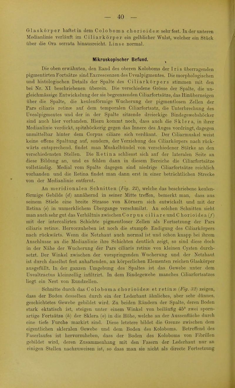 Glaskörper haftet in dem Coloboma chorioideau sehr fest. In der unteren Medianlinie vorläuft im Ziliarkörper ein gelblicher Wulst, welcher ein Stück über die Ora serrata hinausreicht. Linse normal. Mikroskopischer Befund. Die oben erwähnten, den Rand des oberen Koloboms der Iris überragenden pigmentirt.cn Fortsätze sind Excrescenzen des Uvealpigmentes. Die morphologischen und histologischen Details der Spalte des Ziliarkörpers stimmen mit den bei Nr. XI beschriebenen überein. Die verschiedene Grösse der Spalte, die un- gleichmässige Entwickelung der sie begrenzenden Ciliarfortsätze, das Hinüberneigen über die Spalte, die keulenförmige Wucherung der pigmentlosen Zellen der Pars ciliaris retinae auf dem temporalen Ciliarfortsatz, die Unterbrechung des Uvealpigmentes und der in der Spalte sitzende dreieckige Bindegewebshöcker sind auch liier vorhanden. Hiezu kommt noch, dass auch die Sklera, in ihrer Medianlinie verdickt, spitzhöckerig gegen das Innere des Auges vordringt, dagegen unmittelbar hinter dem Corpus ciliare sich verdünnt. Der Ciliamiuskel weist keine offene Spaltung auf, sondern, der Verziehung des Ziliarkörpers nach rück- wärts entsprechend, findet man Muskelbündel von verschiedener Stärke an den verschiedensten Stellen. Die Retina schliesst sich auf der lateralen Seite an diese Bildung an, und es fehlen dann in diesem Bereiche die Ciliarfortsätze vollständig. Medial vom Spalte dagegen sind niedrige Ciliarfortsätze reichlich vorhanden und die Retina findet man dann erst in einer beträchtlichen Strecke von der Medianlinie entfeint. An meridionalen Schnitten {Fig. 22), welche das beschriebene keulen- förmige Gebilde (d) annähernd in seiner Mitte treffen, bemerkt man, dass aus seinem Stiele eine breite Strasse von Körnern sich entwickelt und mit der Retina (e) in unmerklichem Übergänge verschmilzt. An solchen Schnitten sieht man auch sehr gut das Verhältnis zwischen Corpus ciliare und Chorioidea (/) mit der intercalirten Schichte pigmentloser Zellen als Fortsetzung der Pars ciliaris retinae. Hervorzuheben ist noch die stumpfe Endigung des Ciliarkörpers nach rückwärts. Wenn die Netzhaut auch normal ist und schon knapp bei ihrem Anschlüsse an die Medianlinie ihre Schichten deutlich zeigt, so sind diese doch in der Nähe der Wucherung der Pars ciliaris retinaj von kleinen Cysten durch- setzt. Der Winkel zwischen der vorspringenden Wucherung und der Netzhaut ist durch daselbst fest anhaftenden, an körperlichen Elementen reichen Glaskörper ausgefüllt. In der ganzen Umgebung des Spaltes ist das Gewebe unter dem Uvealtractus kleinzellig infiltrirt. In dem Bindegewebe manches Ciliarfortsatzes liegt ein Nest von Rundzellen. Schnitte durch das Coloboma chorioidea: et retinae (Fig. 32) zeigen, dass der Boden desselben durch ein der Lederhaut ähnliches, aber sehr dünnes, geschichtetes Gewebe gebildet wird. Zu beiden Rändern der Spalte, deren Boden stark ektatisch ist, steigen unter einem Winkel von beiläufig 45° zwei sporn- artige Fortsätze (h) der Sklera (a) in die Höhe, welche an der Aussenfläche durch eine tiefe Furche markirt sind. Diese letztere bildet, die Grenze zwischen dem eigentlichen skleralen Gewebe und dem Boden des Koloboms. Betreffend des Faserlaufes ist hervorzuheben, dass der Boden des Koloboms von Fibrillen gebildet wird, deren Zusammenhang mit den Fasern der Lederhaut nur an einigen Stellen nachzuweisen ist, so dass man sie nicht als dircete Fortsetzung