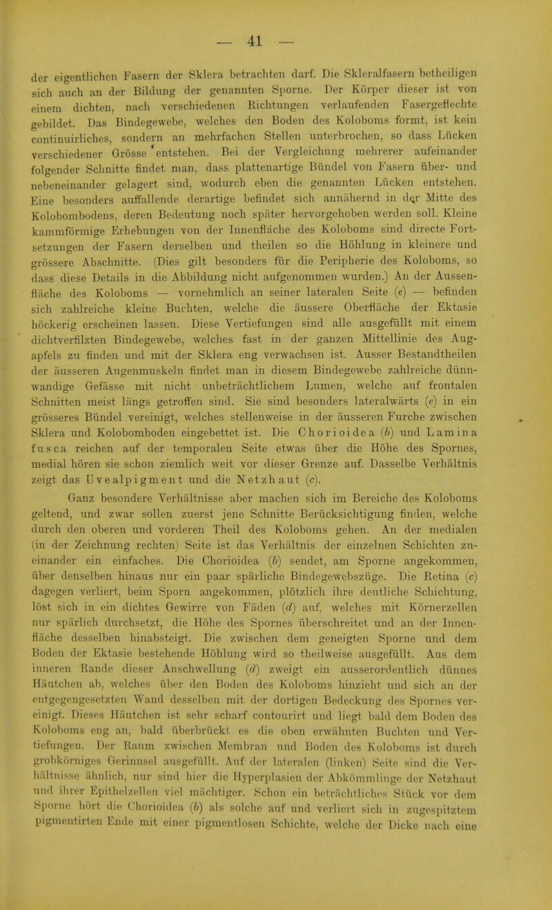 der eigentlichen Fascm der Sklera betrachten darf. Die Skleralfasern betheiligen sich auch an der Bildung der genannten Sporne. Der Körper dieser ist von einem dichten, nach verschiedenen Richtungen verlaufenden Fasergeflechte gebildet. Das Bindegewebe, welches den Boden des Koloboms formt, ist kein continuirliches, sondern an mehrfachen Stellen unterbrochen, so dass Lücken verschiedener Grösse'entstehen. Bei der Vergleichung mehrerer aufeinander folgender Schnitte findet man, dass plattenartige Bündel von Fasern über- und nebeneinander gelagert sind, wodurch eben die genannten Lücken entstehen. Eine besonders auffallende derartige befindet sich annähernd in dej Mitte des Kolobombodens, deren Bedeutung noch später hervorgehoben werden soll. Kleine kammförmige Erhebungen von der Innenfläche des Koloboms sind directe Fort- setzungen der Fasern derselben und theilen so die Höhlung in kleinere und grössere Abschnitte. (Dies gilt besonders für die Peripherie des Koloboms, so dass diese Details iu die Abbildung nicht aufgenommen wurden.) An der Aussen- rläche des Koloboms — vornehmlich an seiner lateralen Seite (e) — befinden sich zahlreiche kleine Buchten, welche die äussere Oberfläche der Ektasie höckerig erscheinen lassen. Diese Vertiefungen sind alle ausgefüllt mit einem dichtverfilzten Bindegewebe, welches fast in der ganzen Mittellinie des Aug- apfels zu finden und mit der Sklera eng verwachsen ist. Ausser Bestandteilen der äusseren Augenmuskeln findet man in diesem Bindegewebe zahlreiche dünn- wandige Gefässe mit nicht unbeträchtlichem Lumen, welche auf frontalen Schnitten meist längs getroffen sind. Sie sind besonders lateralwärts (e) in ein grösseres Bündel vereinigt, welches stellenweise in der äusseren Furche zwischen Sklera und Kolobomboden eingebettet ist. Die Chorioidea (b) und Lamina fusca reichen auf der temporalen Seite etwas über die Höhe des Spornes, medial hören sie schon ziemlich weit vor dieser Grenze auf. Dasselbe Verhältnis zeigt das Uvealpigment und die Netzhaut (c). Ganz besondere Verhältnisse aber machen sich im Bereiche des Koloboms geltend, und zwar sollen zuerst jene Schnitte Berücksichtigung finden, welche durch den oberen und vorderen Theil des Koloboms gehen. An der medialen (in der Zeichnung rechten) Seite ist das Verhältnis der einzelnen Schichten zu- einander ein einfaches. Die Chorioidea (b) sendet, am Sporne angekommen, über denselben hinaus nur ein paar spärliche Bindegewebszüge. Die Retina (<-•) dagegen verliert, beim Sporn angekommen, plötzlich ihre deutliche Schichtung, löst sich in ein dichtes Gewirre von Fäden (d) auf, welches mit, Körnerzellen nur spärlich durchsetzt, die Höhe des Spornes überschreitet und an der Innen- fläche desselben hinabsteigt. Die zwischen dem geneigten Sporne, und dem Boden der Ektasie bestehende Höhlung wird so theilweise ausgefüllt. Aus dem inneren Rande dieser Anschwellung (d) zweigt ein ausserordentlich dünnes Häutchen ab, welches über den Boden des Koloboms hinzieht und sich an der entgegengesetzten Wand desselben mit der dortigen Bedeckung des Spornes ver- einigt. Dieses Hänichen ist sehr scharf contourirt und liegt bald dem Boden des Koloboms eng an, bald überbrückt es die oben erwähnten Buchten und Ver- tiefungen. Der Raum zwischen Membran und Hoden des Koloboms ist durch grobkörniges Gerinnsel ausgefüllt. Auf der lateralen (linken) Seite sind die Ver- bältnisse ähnlich, nur sind hier die Hyperplasien der Abkömmlinge der Netzhau! and ihrer Epithelzellen viel mächtiger. Schon ein beträchtliches Stück vor dem Sporne hört die Chorioidea (b) als solche auf und verlier! sich in zugespitztem pigmentirten Ende mit einer pigmentloson Schichte, welclio der Dicke nach eine