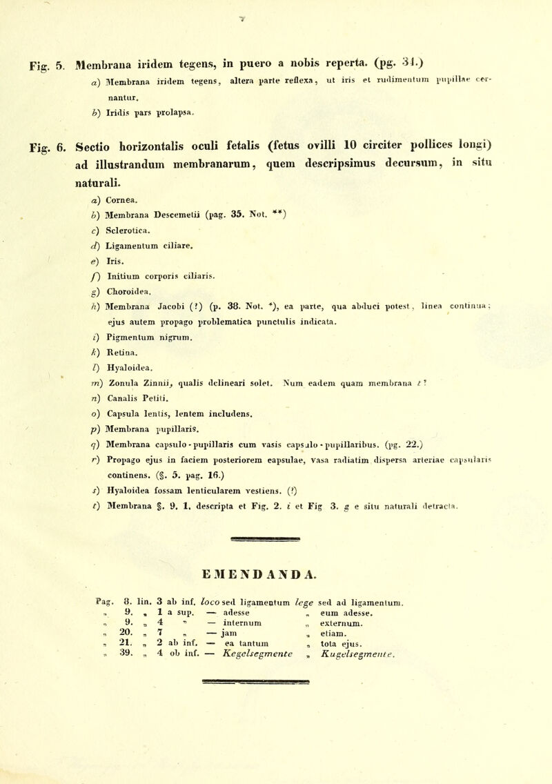 TT Fig. 5. Membrana iridem tegens, in puero a nobis reperta. (pg. 3J.) a) Membrana iridem tegens, altera i>arle reflexa, ut iris et rurtimeritum imi.illae cer- nantur. h) Iridis yars prolapsa. Fig. 6. Sectio horizontalis oculi fetalis (fetus ovilli 10 circiter pollices longi) ad illustrandum membranarum, quem descripsimus decursum, in situ naturali. a) Cornea. b) Membrana Descemelii (pag. 35. Not. **) c) Sclerotica. d) Ligamentum ciliare. (?) Iris. P) Initium corporis ciliaris. g) Choroidea. h) Membrana Jacobi (?) (p. 38. Not. *), ea parte, qua abduci potest , linea continua: ejus autem propago problematica punctulis indicata. i) Pigmentum nigrum. k) Retina. /) Hyaloidea. m) Zonula Zinnii^ q^ualis dclineari solef. Num eadem quam memljrana f ? n) Canalis Petiti. o) Capsula lentis, lentem includens. p) Membrana pupillaris. q) Membrana capsulo-pupillaris cum vasis caps jlo • ptipiUaribus. (pg. 22.) r) Propago ejus in faciem posteriorem eapsulae, vasa radiatim dispersa arteriae capBuSarh continens. (§. 5. pag. 16.) /) Hyaloidea fossam lenticularem vestiens. (?) t) Membrana §. 9. 1. descripta et Fig. 2. i et Fig 3. g e situ naturali iletracla. E 31 E N D A N D A. Pag. 8. lin, 3 ab inf. Zoco sed ligamenfum lege sed ad ligamenlum. y. , 1 a sup. — adesse , eum adesse. T, 9. „ 4 — internum „ externum. „ 20. „7 „ — jam , eliam. » 21. „ 2 ab inf. — ea tantum , tota ejus.