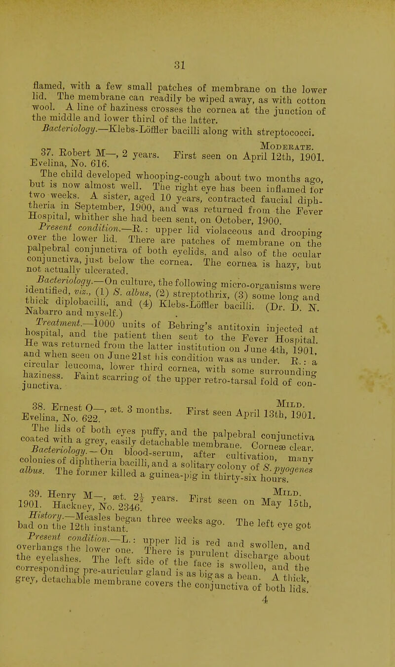 flamed, with a few small patches of membrane on the lower hd. The membrane can readily be wiped away, as with cotton wool. A line of haziness crosses the cornea at the junction of the middle and lower third of the latter. bacteriology.—Klehs-Jjomev bacilli along with streptococci. g„ -n , ^ Moderate. 6/ Kobert M— 2 years. First seen on April 12th, 1901. Evehna, No. 616. The child developed whooping-cough about two months ago, but IS now almost well. The right eye has been inflamed for two weeks A sister, aged 10 years, contracted faucial diph- theria m September, 1900, and was returned from the Fever ilospital, whither she had been sent, on October 1900 Prese7it condition.—^.: upper lid violaceous and droopino- over the lower lid. There are patches of membrane on the palpebral conjunctiva of both eyelids, and also of the ocular conjunctiva, ]ust below the cornea. The cornea is hazy, but not actually ulcerated. Bacteriology.—On culture, the following micro-organisms were Identified, (1) S. albus, (2) streptothrix, (3) ^oZ loZ ^l thick diplobacilli. and (4) Klebs-Lofiier bacilli. (Dr D W JNaban-o and myself.) , ^ Trea.tmerd.-im units of Bebring's autito-ia iniected at lospital, and tbe patient tbeii sent to tbo Fever Hos,lal He was returned frou, tbe latter institution on June 1901 and wben seen on Jnue 21st l,is condition was as nnder E a circular leucou.a, lower third cornea, witb some smroundin^ EveHna^r'622-' ' l^t^ WOL coap S e:s; fet alius. Tbe tonner killed a gninea-pig iu'tStyii/btT' ml: HSne'^.-Ko.Isi* ™ 4'l5tb. -fffsior;/.—Measles began three weeks ao-n r^u^ i bad on the 12th instant ^ 8ot Present condition.—L.upper lid i-? rp,q a n overhangs 1 he lower one THp^p , i swollen, and the evekshes. Thl le t side ot t P^r''^'''' ^'''^^'Se about corresponcling pi^-a^Hcula^tland I rig^s ^ btn' Tu ^T grey, detachable membrane covers the con^-unc't^rf bolh ht' 4