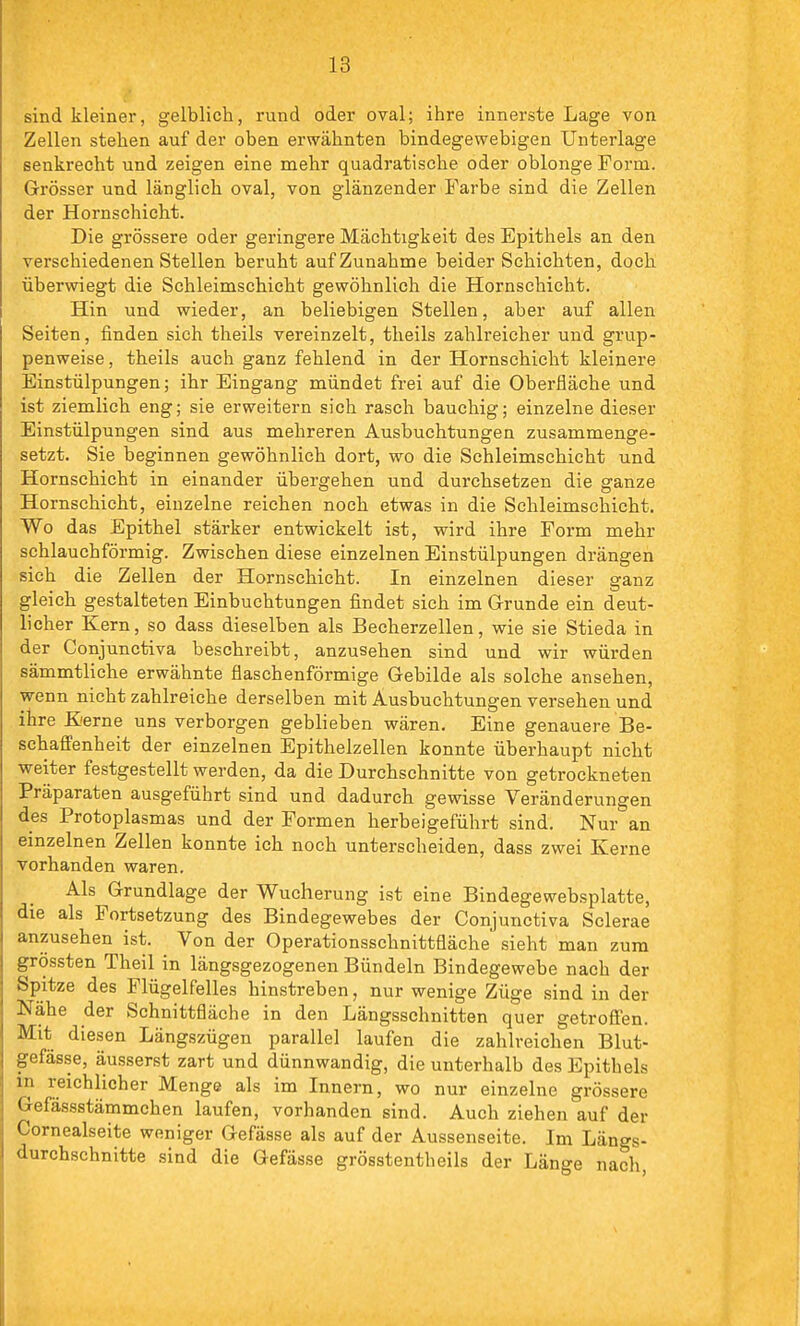 sind kleiner, gelblich, rund oder oval; ihre innerste Lage von Zellen stehen auf der oben erwähnten bindegewebigen Unterlage senkrecht und zeigen eine mehr quadratische oder oblonge Form. Grösser und länglich oval, von glänzender Farbe sind die Zellen der Hornschieht. Die grössere oder geringere Mächtigkeit des Epithels an den verschiedenen Stellen beruht auf Zunahme beider Schichten, doch überwiegt die Schleimschicht gewöhnlich die Hornschicht. Hin und wieder, an beliebigen Stellen, aber auf allen Seiten, finden sich theils vereinzelt, theils zahlreicher und grup- penweise, theils auch ganz fehlend in der Hornschicht kleinere Einstülpungen; ihr Eingang mündet frei auf die Oberfläche und ist ziemlich eng; sie erweitern sich rasch bauchig; einzelne dieser Einstülpungen sind aus mehreren Ausbuchtungen zusammenge- setzt. Sie beginnen gewöhnlich dort, wo die Schleimschicht und Hornschicht in einander übergehen und durchsetzen die ganze Hornschicht, einzelne reichen noch etwas in die Schleimschicht. Wo das Epithel stärker entwickelt ist, wird ihre Form mehr schlauchförmig. Zwischen diese einzelnen Einstülpungen drängen sich die Zellen der Hornschicht. In einzelnen dieser ganz gleich gestalteten Einbuchtungen findet sich im Grunde ein deut- licher Kern, so dass dieselben als Becherzellen, wie sie Stieda in der Conjunctiva beschreibt, anzusehen sind und wir würden sämmtliche erwähnte flaschenförmige Gebilde als solche ansehen, wenn nicht zahlreiche derselben mit Ausbuchtungen versehen und ihre Kerne uns verborgen geblieben wären. Eine genauere Be- schaffenheit der einzelnen Epithelzellen konnte überhaupt nicht •weiter festgestellt werden, da die Durchschnitte von getrockneten Präparaten ausgeführt sind und dadurch gewisse Veränderungen des Protoplasmas und der Formen herbeigeführt sind. Nur an einzelnen Zellen konnte ich noch unterscheiden, dass zwei Kerne vorhanden waren. Als Grundlage der Wucherung ist eine Bindegewebsplatte, die als Fortsetzung des Bindegewebes der Conjunctiva Sclerae anzusehen ist. Von der Operationsschnittüäche sieht man zum grössten Theil in längsgezogenen Bündeln Bindegewebe nach der Spitze des Flügelfelles hinstreben, nur wenige Züge sind in der Nähe der Schnittfläche in den Längsschnitten quer getroffen. Mit diesen Längszügen parallel laufen die zahlreichen Blut- gefässe, ä,usserst zart und dünnwandig, die unterhalb des Epithels in reichlicher Menge als im Innern, wo nur einzelne grössere Gefässstämmchen laufen, vorhanden sind. Auch ziehen auf der Cornealseite weniger Gefässe als auf der Aussenseite. Im Längs- durchschnitte sind die Gefässe grösstentheils der Länge nach