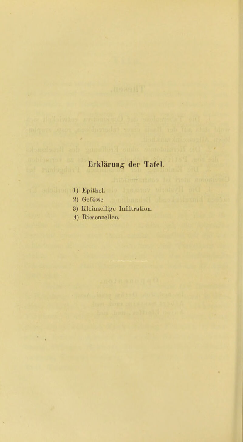 Ei'kläruug der Tafel, 1) Epithel. 2) Gefässe. 3) Kleinzellige Infiltration.