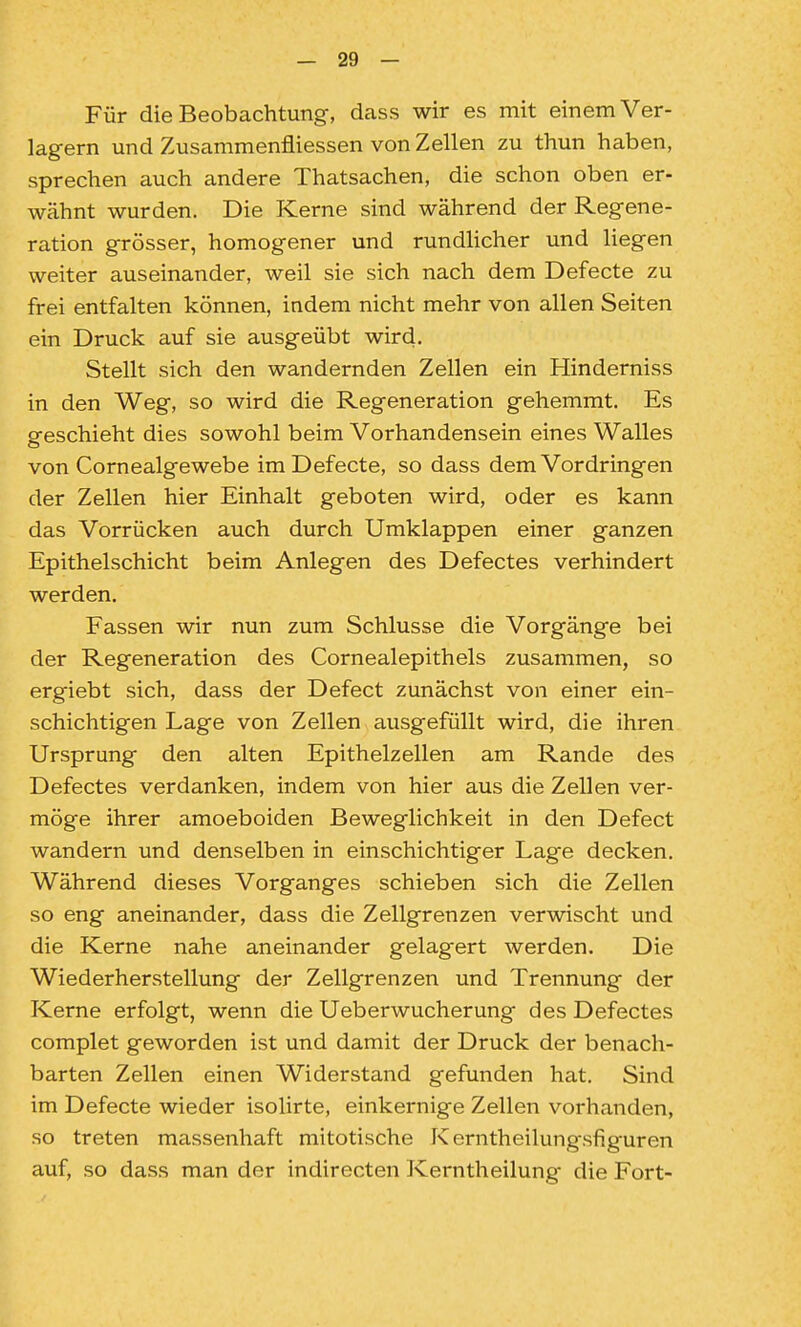 Für die Beobachtung, dass wir es mit einem Ver- lagern und Zusammenfliessen von Zellen zu thun haben, sprechen auch andere Thatsachen, die schon oben er- wähnt wurden. Die Kerne sind während der Regene- ration grösser, homogener und rundlicher und liegen weiter auseinander, weil sie sich nach dem Defecte zu frei entfalten können, indem nicht mehr von allen Seiten ein Druck auf sie ausgeübt wird. Stellt sich den wandernden Zellen ein Hinderniss in den Weg, so wird die Regeneration gehemmt. Es geschieht dies sowohl beim Vorhandensein eines Walles von Cornealgewebe im Defecte, so dass dem Vordringen der Zellen hier Einhalt geboten wird, oder es kann das Vorrücken auch durch Umklappen einer ganzen Epithelschicht beim Anlegen des Defectes verhindert werden. Fassen wir nun zum Schlüsse die Vorgänge bei der Regeneration des Cornealepithels zusammen, so ergiebt sich, dass der Defect zunächst von einer ein- schichtigen Lage von Zellen ausgefüllt wird, die ihren Ursprung den alten Epithelzellen am Rande des Defectes verdanken, indem von hier aus die Zellen ver- möge ihrer amoeboiden Beweglichkeit in den Defect wandern und denselben in einschichtiger Lage decken. Während dieses Vorganges schieben sich die Zellen so eng aneinander, dass die Zellgrenzen verwischt und die Kerne nahe aneinander gelagert werden. Die Wiederherstellung der Zellgrenzen und Trennung der Kerne erfolgt, wenn die Ueberwucherung des Defectes complet geworden ist und damit der Druck der benach- barten Zellen einen Widerstand gefunden hat. Sind im Defecte wieder isolirte, einkernige Zellen vorhanden, so treten massenhaft mitotische Kerntheilungsfiguren auf, so dass man der indirecten Kerntheilung die Fort-