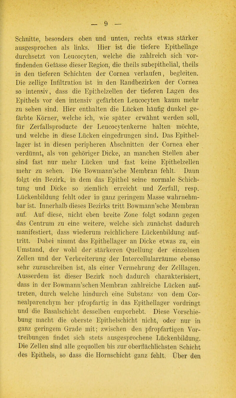 Schnitte, besonders oben und unten, rechts etwas stärker ausgesprochen als links. Hier ist die tiefere Epithellage durchsetzt von Leucocyten, welche die zahlreich sich vor- findenden Getässe dieser Region, die theils subepithelial, theils in den tieferen Schichten der Cornea verlaufen, begleiten. Die zellige Infiltration ist in den Randbezirken der Cornea so intensiv, dass die Epithelzellen der tieferen Lagen des Epithels vor den intensiv gefärbten Leucocyten kaum mehr zu sehen sind. Hier enthalten die Lücken häufig dunkel ge- färbte Körner, welche ich, wie später erwähnt werden soll, für Zevfallsproducte der Leucocytenkerne halten möchte, und welche in diese Lücken eingedrungen sind. Das Epithel- lager ist in diesen peripheren Abschnitten der Cornea eher verdünnt, als von gehöriger Dicke, an manchen Stelleu aber sind fast nur mehr Lücken und fast keine Epithelzellen mehr zu sehen. Die Bowmann'sche Membran fehlt. Daun folgt ein Bezirk, in dem das Epithel seine normale Schich- tung und Dicke so ziemUch erreicht und Zerfall, resp. Lückenbildung fehlt oder in ganz germgem Masse w'ahrnehm- bar ist. Innerhalb dieses Bezirks tritt Bowmann'sche Membran auf. Auf diese, nicht eben breite Zone folgt sodann gegen das Centrum zu eine weitere, welche sich zunächst dadurch manifestiert, dass wiederum reichlichere Lückenbildung auf- tritt. Dabei nimmt das Epithellager an Dicke etwas zu, ein Umstand, der wohl der stärkeren Quellung der einzelnen Zellen und der Verbreiterung der Intercellularräume ebenso sehr zuzuschreiben ist, als einer Vermehrung der Zelllagen, Ausserdem ist dieser Bezirk noch dadurch charakterisiert, dass in der Bowmann'schen Membran zahlreiche Lücken auf- treten, durch welche hindurt^h eine Substanz von dem Cor- nealparcnchym her pfropfartig in das Epithellager vordringt und die Basalschicht desselben emporhebt. Diese Vorschie- bung macht die oberste Epithelschicht nicht, oder nur in ganz geringem Grade mit; zwischen den pfropfartigen Vor- treibungen findet sich stets ausgesprochene Lückenbildung. Die Zellen sind alle gequollen bis zur oberflächlichsten Schicht des Epithels, so dass die Hornschicht ganz fehlt. Über den