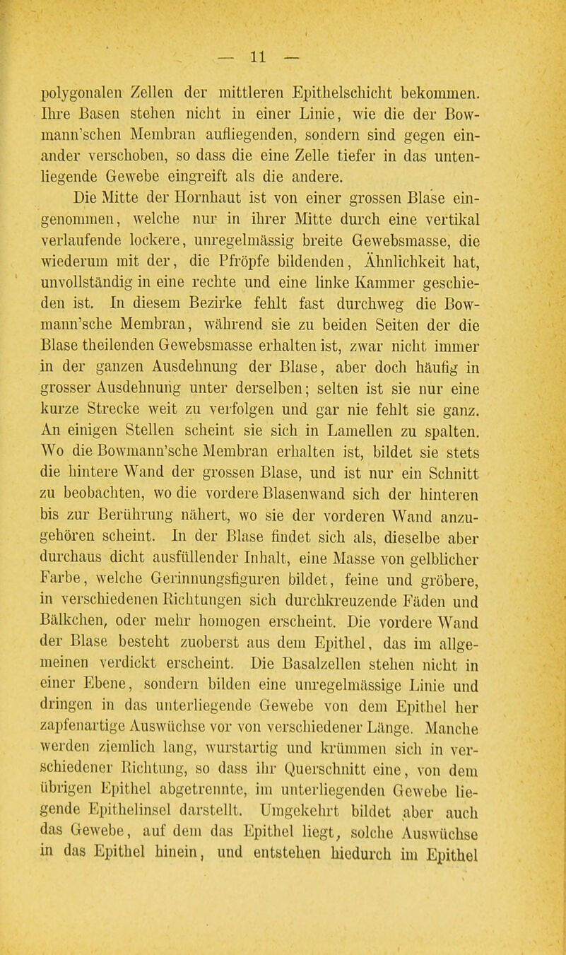 polygonalen Zellen der mittleren Epithelscliicht bekommen. Ihre Basen stehen nicht in einer Linie, wie die der Bovv- mann'schen Membran aufliegenden, sondern sind gegen ein- ander verschoben, so dass die eine Zelle tiefer in das unten- liegende Gewebe eingreift als die andere. Die Mitte der Hornhaut ist von einer grossen Blase ein- genommen, welche nur in ihrer Mitte durch eine vertikal verlaufende lockere, unregelmässig breite Gewebsmasse, die wiederum mit der, die Pfropfe bildenden, Ähnlichkeit hat, unvollständig in eine rechte und eine linke Kammer geschie- den ist. In diesem Bezirke fehlt fast durchweg die Bow- mann'sche Membran, während sie zu beiden Seiten der die Blase theilenden Gewebsmasse erhalten ist, zwar nicht immer in der ganzen Ausdehnung der Bluse, aber doch häufig in grosser Ausdehnung unter derselben; selten ist sie nur eine kurze Strecke weit zu verfolgen und gar nie fehlt sie ganz. An einigen Stellen scheint sie sich in Lamellen zu spalten. Wo die Bowmann'sche Membran erhalten ist, bildet sie stets die hintere Wand der grossen Blase, und ist nur ein Schnitt zu beobachten, wo die vordere Blasenwand sich der hinteren bis zur Berührung nähert, wo sie der vorderen Wand anzu- gehören scheint. In der Blase findet sich als, dieselbe aber durchaus dicht ausfüllender Inhalt, eine Masse von gelblicher Farbe, welche Gerinnungsfiguren bildet, feine und gröbere, in verschiedenen Richtungen sich durchlcreuzende Fäden und Bälkchen, oder mehr homogen erscheint. Die vordere Wand der Blase besteht zuoberst aus dem Epithel, das im allge- meinen verdickt erscheint. Die Basalzellen stehen nicht in einer Ebene, sondern bilden eine unregelmässige Linie und dringen in das unterliegende Gewebe von dem Epithel her zapfenartige Auswüchse vor von verschiedener Länge. Manche werden ziemlich lang, wurstartig und krünnnen sich in ver- schiedener Richtung, so dass ihr Querschnitt eine, von dem übrigen Epithel abgetrennte, im unterliegenden Gewebe lie- gende Epithelinsel darstellt. Umgekehrt bildet aber auch das Gewebe, auf dem das Epithel liegt, solche Auswüchse in das Epithel hinein, und entstehen hiedurch im Epithel