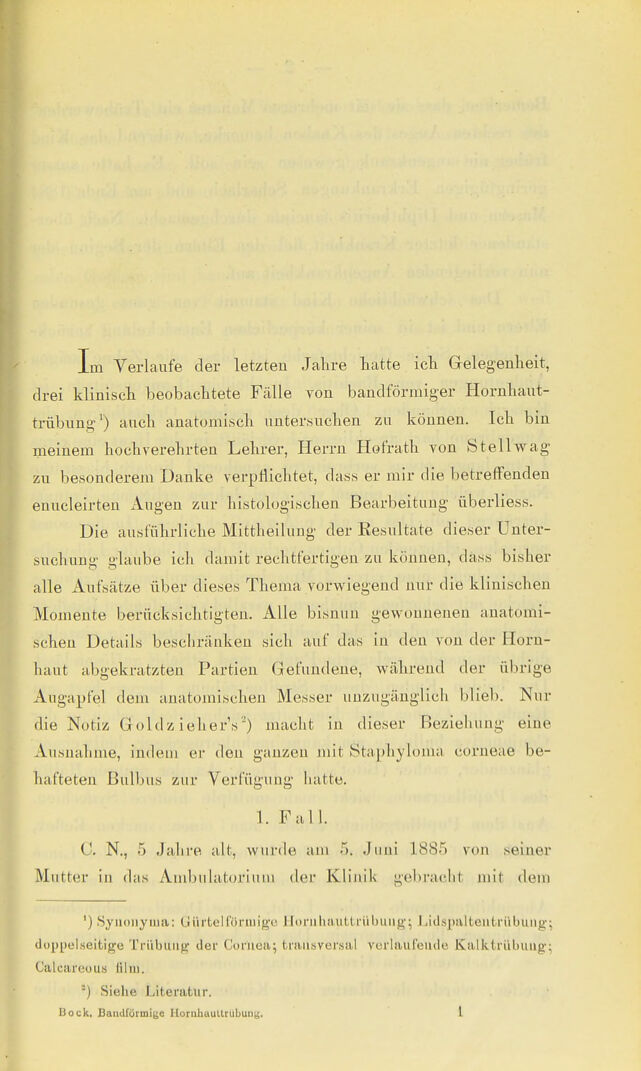 digitised image 3