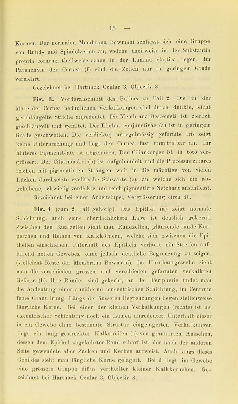 Kerueii. Der normalen Membi-aua Bowmaiü schliesst sich eine Gruppe vou Riiud- und Spindelzelleu an, welche theilweise in der Substantia propria corneae, theilweise schon in der Laiuina elastica liegen. Im Pareucbym der Cornea (f) sind die Zeilen nur in geringem Grade vermehrt. Gezeichnet bei Hartnack Ocular 3, Objectiv 8. Fig. 3. Vorderabschnitt des Bulbus zu Fall 2. Die in der Mitte der Cornea befindlichen Verkalkungen sind durch dunkle, leicht geschlängelte Striche angedeutet. Die Membrana Descemet! ist zierlich geschlängelt und gefaltet. Der Limbus conjunctivae (a) ist in geringem Grade geschwollen. Die verdickte, unregelmässig geformte Iris zeigt keine Unterbrechung und liegt der Cornea fast unmittelbar an. Ihr hinteres Pigmentblatt ist abgehoben. Der Ciliarkörper ist in toto ver- grössert. Der Ciliarmuskel (b) ist aufgebündelt und die Processus ciliares reichen mit pigmentirteu Strängen weit in die mächtige von vielen Lücken durchsetzte cyclitische Schwarte (c), an welche sich die ab- gehobene, schwielig verdickte und reich pigmentirte Netzhaut anschliesst. Gezeichnet bei einer Arbeitslupe; Vergrösserung circa 10. Fig'. 4: (zum 2. Fall gehörig). Das Epithel (a) zeigt normale Schichtung, auch seine oberflächlichste Lage ist deutlich gekernt. Zwischen den Basalzellen sieht man Rundzellen, glänzende runde Kör- percheu und Reihen von Kalkkörnern, welche sich zwischen die Epi- thelien einschieben. Unterhalb des Epithels verläuft ein Streifen auf- fallend hellen Gewebes, ohne jedoch deutliche Begrenzung zu zeigen, (vielleicht Reste der Membrana Bowniani). Im Hornhautgewebe sieht man die verschieden grossen und verschieden geformten verkalkten Gefässe (b). Ihre Ränder sind gekerbt, an der Peripherie findet man die Andeutung eiuer annähernd concentrischen Schichtung, im Centrum feine Grauulirung. Längs der äusseren Begrenzungen liegen stellenweise längliche Kerne. Bei eiuer der kleinen Verkalkungen (rechts) ist bei excentrischer Schichtung noch ein Lumen angedeutet. Unterhalb dieser in ein Gewebe oluie bestimmte Structur eingehigerteu Verkalkungen liegt ein lang gestreckter Kalkstreifen (c) von granulirtem Aussehen, dessen dem Epithel zugekehrter Rand scharf ist, der nach der anderen Seite gewendete aber Zacken und Kerben aufweist. Auch längs dieses Gebildes sieht man längliche Kerne gelagert. Bei d liegt im Gewebe eine grössere Gruppe difl'iis vcrtheilter kleiner Kalkkornchen. Ge- zeichnet bei Hartnack Ocular 3, Objectiv 8.