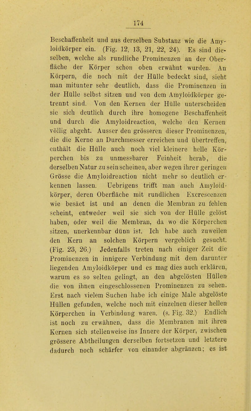 Beschaffenheit und aus derselben Substanz wie die Amy- loidkörper ein. (Fig. 12, 13, 21, 22, 24). Es sind die- selben, welche als rundliche Prominenzen an der Ober- fläche der Körper schon oben erwähnt wurden. An Körpern, die noch mit der Hülle bedeckt siud, sieht man mitunter sehr deutlich, dass die Prominenzen in der Hülle selbst sitzen und von dem Amyloidkörper ge- trennt sind. Von den Kernen der Hülle unterscheiden sie sich deutlich durch ihre homogene Beschaffenheit und durch die Amyloidreaction, welche den Kernen völlig abgeht. Ausser den grösseren dieser Prominenzen, die die Kerne an Durchmesser erreichen und übertreffen, enthält die Hülle auch noch viel kleinere helle Kör- perchen bis zu unmessbarer Feinheit herab, die derselben Natur zu sein scheinen, aber wegen ihrer geringen Grösse die Amyloidreaction nicht mehr so deutlich er- kennen lassen. Uebrigens trifft man auch Amyloid- körper, deren Oberfläche mit rundlichen Excrescenzen wie besäet ist und an denen die Membran zu fehlen scheint, entweder weil sie sich von der Hülle gelöst haben, oder weil die Membran, da wo die Körpercheu sitzen, unerkennbar dünn ist. Ich habe auch zuweilen den Kern an solchen Körpern vergeblich gesucht. (Fig. 23, 26.) Jedenfalls treten nach einiger Zeit die Prorainenzen in innigere Verbindung mit dem darunter liegenden Amyloidkörper und es mag dies auch erklären, warum es so selten gelingt, an den abgelösten Hüllen die von ihnen eingeschlossenen Prominenzen zu sehen. Erst nach vielem Suchen habe ich einige Male abgelöste Hüllen gefunden, welche noch mit einzelnen dieser hellen Körperchen in Verbindung waren, (s. Fig. 32.) Endlich ist noch zu erwähnen, dass die Membranen mit ihren Kernen sich stellenweise ins Innere der Körper, zwischen grössere Abtheilungen derselben fortsetzen und letztere dadurch noch schärfer von einander abgränzen; es ist