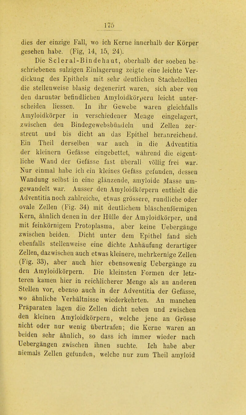 F75 dies der einzige Fall, wo ich Kerne innerhalb der Körper gesehen habe. (Fig, 14, 15, 24). Die Scleral-Bindehaut, oberhalb der soeben be- schriebenen sulzigen Einlagerung zeigte eine leichte Ver- dickung des Epithels mit sehr deutlichen Stachelzellen die stellenweise blasig degenerirt waren, sich aber von den daruutor befindlichen Amyloidkörpern leicht unter- scheiden Hessen. In ihr Gewebe waren gleichfalls Ainyloidkörper in verschiedener Menge eingelagert, zwischen den Bindegewebsbüudeln und Zellen zer- streut und bis dicht an das Epithel heranreichend. Ein Theil derselben war auch in die Adventitia der kleinern Gefässe eingebettet, während die eigent- liche Wand der Gefässe fast überall völlig frei war. Nur einmal habe ich ein kleines Gefäss gefunden, dessen Wandung selbst in eine glänzende, amyloide Masse um- gewandelt war. Ausser den Amyloidkörpern enthielt die Adventitia noch zahlreiche, etwas grössere, rundliche oder ovale Zellen (Fig. 34) mit deutlichem bläschenförmigen Kern, ähnlich denen in der Hülle der Arayloidkörper, und mit feinkörnigem Protoplasma, aber keine Uebergänge zwischen beiden. Dicht unter dem Epithel fand sich ebenfalls stellenweise eine dichte Anhäufung derartiger Zellen, dazwischen auch etwas kleinere, mehrkernige Zellen (Fig. 33), aber auch hier ebensowenig Uebergänge zu den Amyloidkörpern. Die kleinsten Formen der letz- teren kamen hier in reichlicherer Menge als an anderen Stellen vor, ebenso auch in der Adventitia der Gefässe, wo ähnliche Verhältnisse wiederkehrten. An manchen Präparaten lagen die Zellen dicht neben und zwischen den kleinen Amyloidkörpern, welche jene an Grösse nicht oder nur wenig übertrafen; die Kerne waren an beiden sehr ähnlich, so dass ich immer wieder nach üebergängen zwischen ihnen suchte. Ich habe aber niemals Zellen gefunden, welche nur zum Theil amyloid