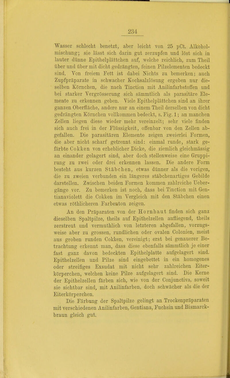 Wasser schlecht henetzt, aber leicht von 25 pCt. Alköhol- mischung; sie lässt sich darin gut zerzupfen und löst sich in lauter dünne Epithelplättchen auf, welche reichlich, zum Theil über und über mit dicht gedrängten, feinen Pilzelementen bedeckt sind. Von freiem Fett ist dabei Nichts zu bemerken; auch Zupfpräparate in schwacher Kochsalzlösung ergeben nur die- selben Körnchen, die nach Tinction mit Anilinfarbstoffen und bei starker Vergrösserung sich sämmtlich als parasitäre Ele- mente zu erkennen geben. Viele Epithelplättchen sind an ihrer ganzen Oberfläche, andere nur an einem Theil derselben von dicht gedrängten Körnchen vollkommen bedeckt, s. Eig. 1; an manchen Zellen liegen diese wieder mehr vereinzelt; sehr viele finden sich auch frei in der Flüssigkeit, offenbar von den Zellen ab- gefallen. Die parasitären Elemente zeigen zweierlei Formen, die aber nicht scharf getrennt sind: einmal runde, stark ge- färbte Cokken von erheblicher Dicke, die ziemlich gleichmässig an einander gelagert sind, aber doch stellenweise eine Gruppi- rung zu zwei oder drei erkennen lassen. Die andere Form besteht aus kurzen Stäbchen, etwas dünner als die vorigen, die zu zweien verbunden ein längeres stäbchenartiges Gebilde darstellen. Zwischen beiden Formen kommen zahlreiche Deber- gänge vor. Zu bemerken ist noch, dass bei Tinction mit Gen- tianaviolett die Cokken im Vergleich mit den Stäbchen einen etwas röthlicheren Farbenton zeigen. An den Präparaten von der Hornhaut finden sich ganz dieselben Spaltpilze, theils auf Epithelzellen aufliegend, theils zerstreut und vermuthlich von letzteren abgefallen, vorzugs- weise aber zu grossen, rundlichen oder ovalen Colonien, meist aus groben runden Cokken, vereinigt; erst bei genauerer Be- trachtung erkennt man, dass diese ebenfalls sämmtlich je einer fast ganz davon bedeckten Epithelplatte aufgelagert sind. Epithelzellen und Pilze sind eingebettet in ein homogenes oder streifiges Exsudat mit nicht sehr zahlreichen Eiter- körperchen, welchen keine Pilze aufgelagert sind. Die Kerne der Epithelzellen färben sich, wie von der Conjunctiva. soweit sie sichtbar sind, mit Anilinfarben, doch schwächer als die der Eiterkörperchen. Die Färbung der Spaltpilze gelingt an Trockenpräparaten mit verschiedenen Anilinfarben, Gentiana, Fuchsin und Bismarck- braun gleich gut.