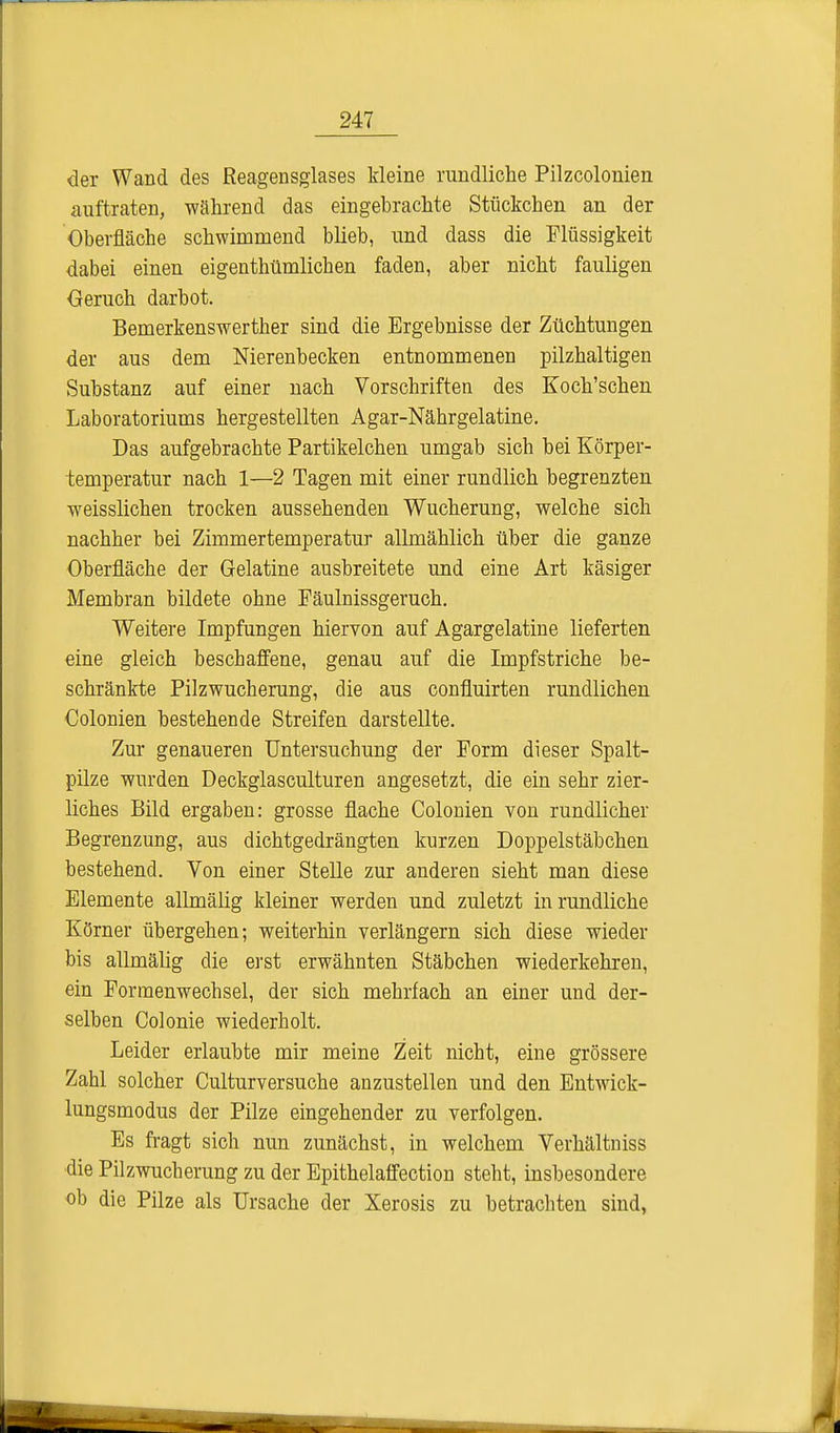 der Wand des Reagensglases Meine rundliche Pilzcolonien auftraten, während das eingebrachte Stückchen an der Oberfläche schwimmend blieb, und dass die Flüssigkeit dabei einen eigenthümlichen faden, aber nicht fauligen Geruch darbot. Bemerkenswerther sind die Ergebnisse der Züchtungen der aus dem Nierenbecken entnommenen pilzhaltigen Substanz auf einer nach Vorschriften des Koch'schen Laboratoriums hergestellten Agar-Nährgelatine. Das aufgebrachte Partikelchen umgab sich bei Körper- temperatur nach 1—2 Tagen mit einer rundlich begrenzten weisslichen trocken aussehenden Wucherung, welche sich nachher bei Zimmertemperatur allmählich über die ganze Oberfläche der Gelatine ausbreitete und eine Art käsiger Membran bildete ohne Fäulnissgeruch. Weitere Impfungen hiervon auf Agargelatine lieferten eine gleich beschaffene, genau auf die Impfstriche be- schränkte Pilzwucherung, die aus confluirten rundlichen Colonien bestehende Streifen darstellte. Zur genaueren Untersuchung der Form dieser Spalt- pilze wurden Deckglasculturen angesetzt, die ein sehr zier- liches Bild ergaben: grosse flache Colonien von rundlicher Begrenzung, aus dichtgedrängten kurzen Doppelstäbchen bestehend. Von einer Stelle zur anderen sieht man diese Elemente allmälig kleiner werden und zuletzt in rundliche Körner übergehen; weiterhin verlängern sich diese wieder bis allmälig die erst erwähnten Stäbchen wiederkehren, ein Formenwechsel, der sich mehrfach an einer und der- selben Colonie wiederholt. Leider erlaubte mir meine Zeit nicht, eine grössere Zahl solcher Culturversuche anzustellen und den Entwick- lungsmodus der Pilze eingehender zu verfolgen. Es fragt sich nun zunächst, in welchem Verhältniss die Pilzwucherung zu der Epithelaffection steht, insbesondere ob die Pilze als Ursache der Xerosis zu betrachten sind,