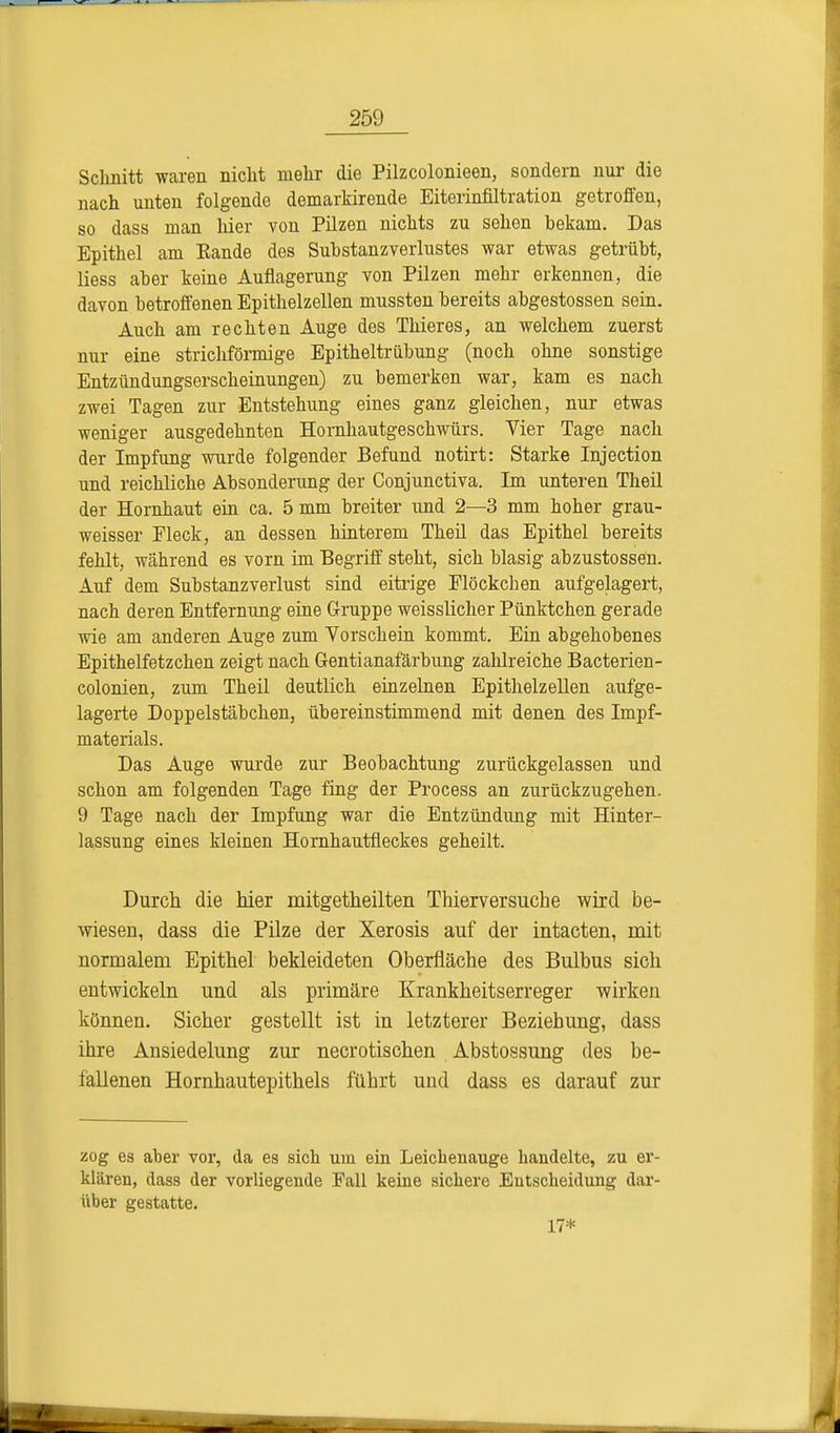 Schnitt waren nicht mehr die Pilzcolonieen, sondern nur die nach unten folgende demarkirende Eiterinfiltration getroffen, so dass man hier von Pilzen nichts zu sehen bekam. Das Epithel am Eande des Substanzverlustes war etwas getrübt, liess aber keine Auflagerung von Pilzen mehr erkennen, die davon betroffenen Epithelzellen mussten bereits abgestossen sein. Auch am rechten Auge des Thier es, an welchem zuerst nur eine strichförmige Epitheltrübung (noch ohne sonstige Entzündungserscheinungen) zu bemerken war, kam es nach zwei Tagen zur Entstehung eines ganz gleichen, nur etwas weniger ausgedehnten Homhautgeschwürs. Vier Tage nach der Impfung wurde folgender Befund notirt: Starke Injection und reichliche Absonderung der Conjunctiva. Im unteren Theil der Hornhaut ein ca. 5 mm breiter und 2—3 mm hoher grau- weisser Pieck, an dessen hinterem Theil das Epithel bereits fehlt, während es vorn im Begriff steht, sich blasig abzustossen. Auf dem Substanzverlust sind eitrige Plöckcben aufgelagert, nach deren Entfernung eine Gruppe weisslicher Pünktchen gerade wie am anderen Auge zum Vorschein kommt. Ein abgehobenes Epithelfetzchen zeigt nach Gentianafärbung zahlreiche Bacterien- colonien, zum Theil deutlich einzelnen Epithelzellen aufge- lagerte Doppelstäbchen, übereinstimmend mit denen des Impf- materials. Das Auge wurde zur Beobachtung zurückgelassen und schon am folgenden Tage fing der Process an zurückzugehen. 9 Tage nach der Impfung war die Entzündung mit Hinter- lassung eines kleinen Hornhautfleckes geheilt. Durch die hier mitgetheilten Thierversuche wird be- wiesen, dass die Pilze der Xerosis auf der intacten, mit normalem Epithel bekleideten Oberfläche des Bulbus sich entwickeln und als primäre Krankheitserreger wirken können. Sicher gestellt ist in letzterer Beziehung, dass ihre Ansiedelung zur necrotischen Abstossung des be- fallenen Hornhautepithels führt und dass es darauf zur zog es aber vor, da es sich um ein Leichenauge handelte, zu er- klären, dass der vorliegende Fall keine sichere Entscheidung dar- über gestatte. 17*