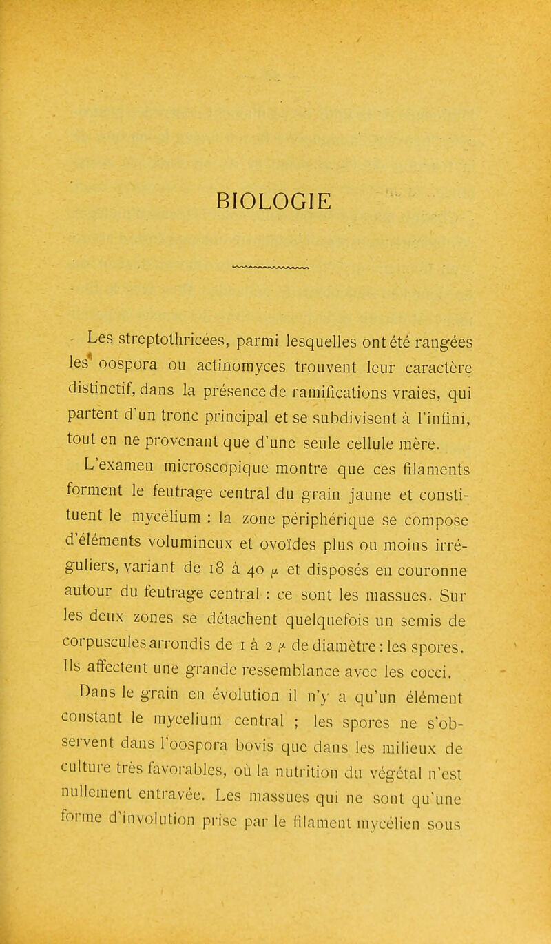 BIOLOGIE Les streptolhricées, parmi lesquelles ont été rangées les oospora ou actinomyces trouvent leur caractère distinctif, dans la présence de ramifications vraies, qui partent d'un tronc principal et se subdivisent à l'infini, tout en ne provenant que d'une seule cellule mère. L'examen microscopique montre que ces filaments forment le feutrage central du grain jaune et consti- tuent le mycélium : la zone périphérique se compose d'éléments volumineux et ovoïdes plus ou moins irré- guliers, variant de i8 à 40 p et disposés en couronne autour du feutrage central : ce sont les massues. Sur les deux zones se détachent quelquefois un semis de corpuscules arrondis de i à 2 y. de diamètre : les spores, lis affectent une grande ressemblance avec les cocci. Dans le grain en évolution il n'y a qu'un élément constant le mycélium central ; les spores ne s'ob- servent dans l'oospora bovis que dans les milieux de culture très favorables, où la nutrition du végétal n'est nullement entravée. Les massues qui ne sont qu'une forme d'involution prise par le filament mycélien sous