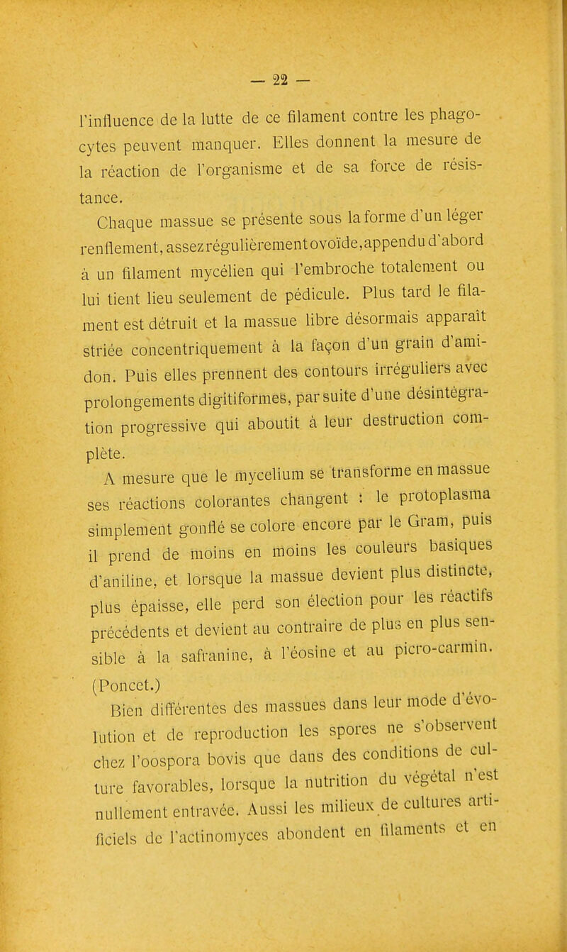 l'influence de la lutte de ce filament contre les phago- . cytes peuvent manquer. Elles donnent la mesure de la réaction de l'organisme et de sa force de résis- tance. Chaque massue se présente sous la forme d'un léger renflement, assezrégulièrementovoïde,appendu d'abord à un filament mycélien qui l'embroche totalement ou lui tient lieu seulement de pédicule. Plus tard le fila- ment est détruit et la massue libre désormais apparaît striée concentriquement à la façon d'un grain d'ami- don. Puis elles prennent des contours irréguliers avec prolongements digitiformes, par suite d'une désintégra- tion progressive qui aboutit à leur destruction com- plète. A mesure que le mycélium se transforme en massue ses réactions colorantes changent : le protoplasma simplement gonflé se colore encore par le Gram, puis il prend de moins en moins les couleurs basiques d'aniline, et lorsque la massue devient plus distincte, plus épaisse, elle perd son élection pour les réactifs précédents et devient au contraire de plus en plus sen- sible à la safranine, à l'éosine et au picro-carmin. (Poucet.) Bien différentes des massues dans leur mode d'évo- lution et de reproduction les spores ne s'observent chez l'oospora bovis que dans des conditions de cul- ture favorables, lorsque la nutrition du végétal n'est nullement entravée. Aussi les milieux de cultures arti- ficiels de l'aclinomyces abondent en filaments et en
