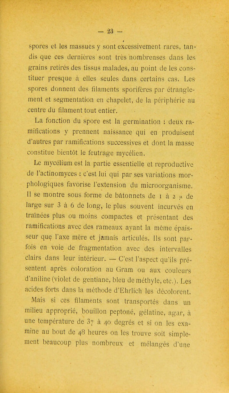 spores et les massues y sont excessivement rares, tan- dis que ces dernières sont très nombreuses dans les grains retirés des tissus malades, au point de les cons- tituer presque à elles seules dans certains cas. Les spores donnent des filaments sporifères par étrangle- ment et segmentation en chapelet, de la périphérie au centre du filament tout entier. La fonction du spore est la germination : deux ra- mifications y prennent naissance qui en produisent d'autres par ramifications successives et dont la masse constitue bientôt le feutrage mycélien. Le mycélium est la partie essentielle et reproductive de l'actinomyces : c'est lui qui par ses variations mor- phologiques favorise l'extension du microorganisme. 11 se montre sous forme de bâtonnets de i à 2 a de large sur 3 à 6 de long, le plus souvent incurvés en traînées plus ou moins compactes et présentant des ramifications avec des rameaux ayant la même épais- seur que l'axe mère et jamais articulés. Ils sont par- fois en voie de fragmentation avec des intervalles clairs dans leur intérieur. — C'est l'aspect qu'ils pré- sentent après coloration au Qram ou aux couleurs d'aniline (violet de gentiane, bleu de méthylc, etc.). Les acides forts dans la méthode d'Ehrlich les décolorent. JVlais si ces filaments sont transportés dans un milieu approprié, bouillon peptoné, gélatine, agar, à une température de 87 à 40 degrés et si on les exa- mine au bout de 48 heures on les trouve soit simple- ment beaucoup plus nombreux et mélangés d'une